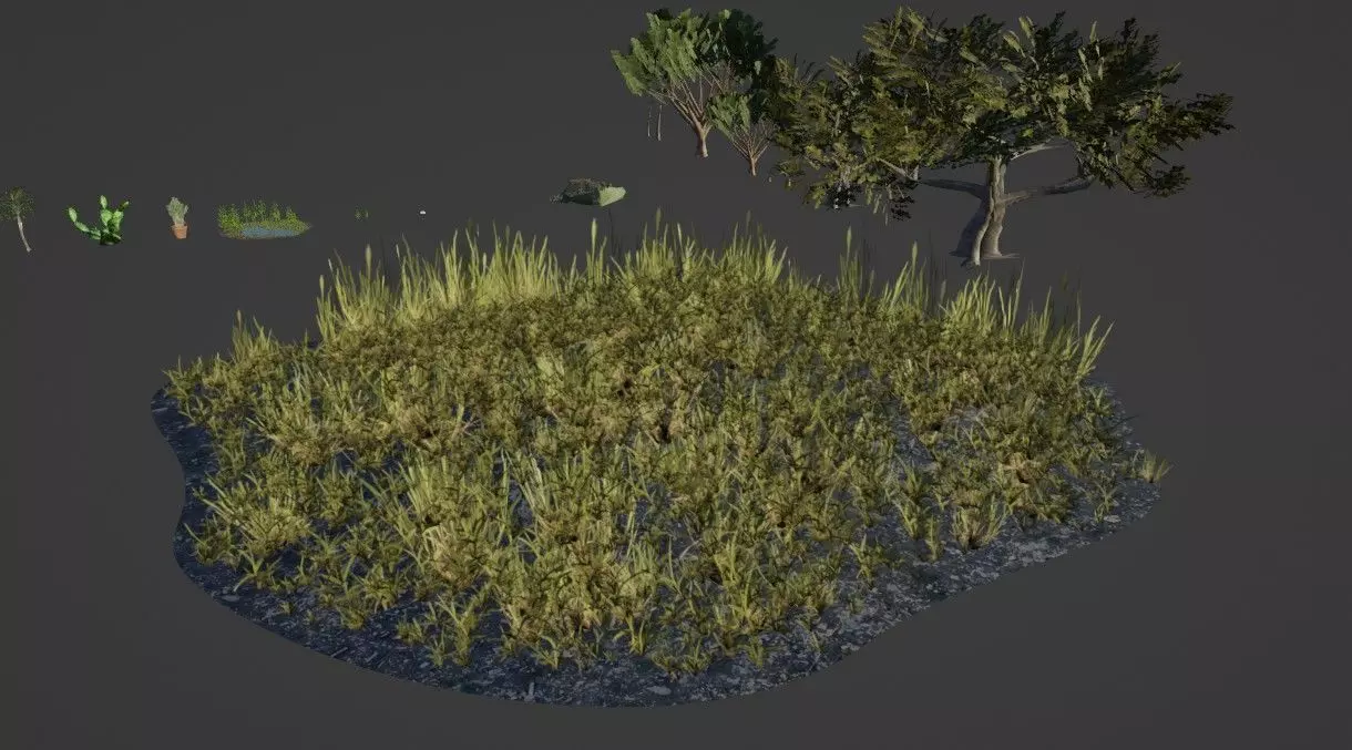 Nature and plants Free 3D model_0