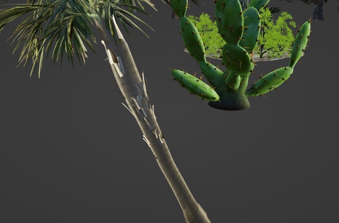 Nature and plants Free 3D model_3