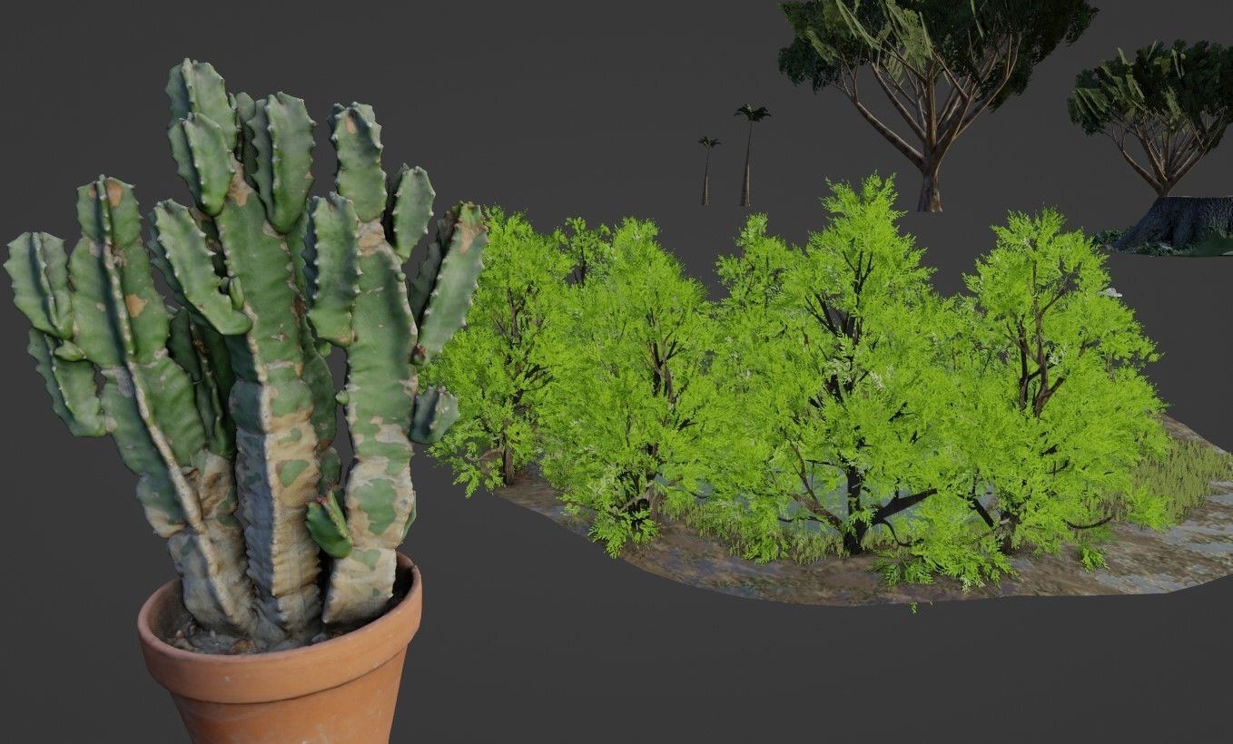 Nature and plants Free 3D model_1