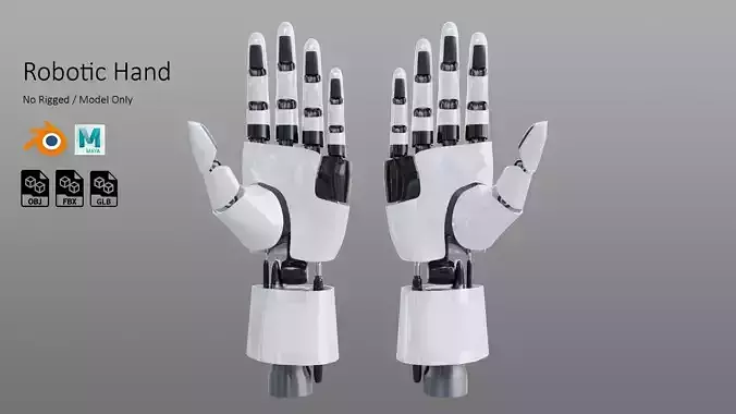Robotic Hand 3D model