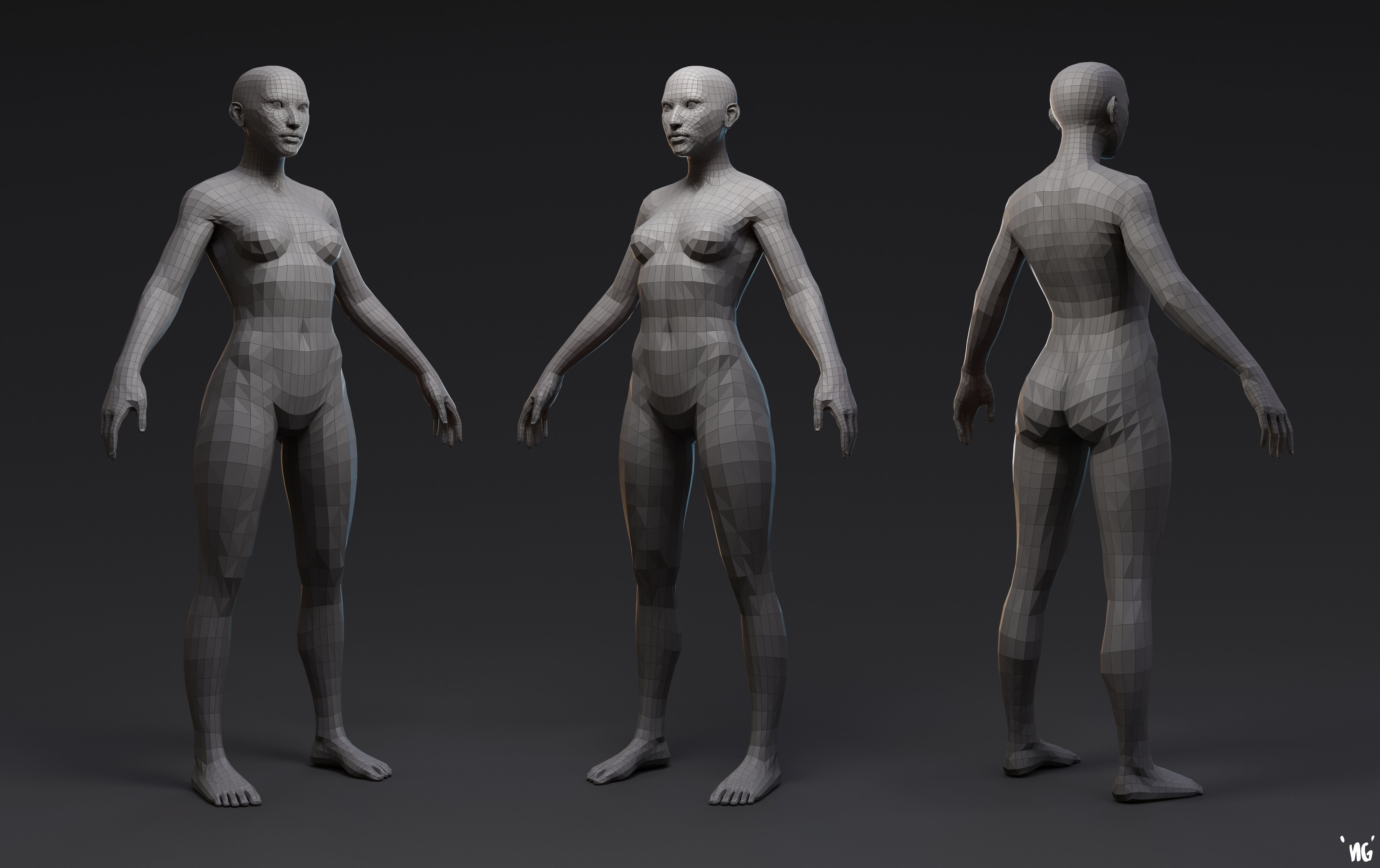 Female Basemesh 3D Model 3D model_2