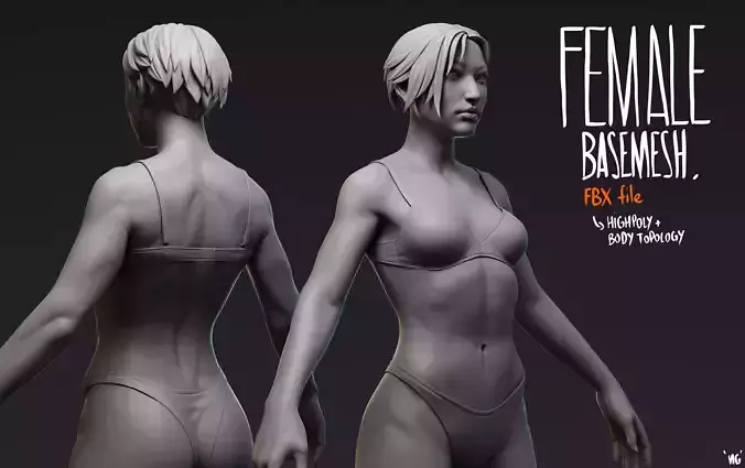 Female Basemesh 3D Model 3D model Female Basemesh 3D Model 3D model
