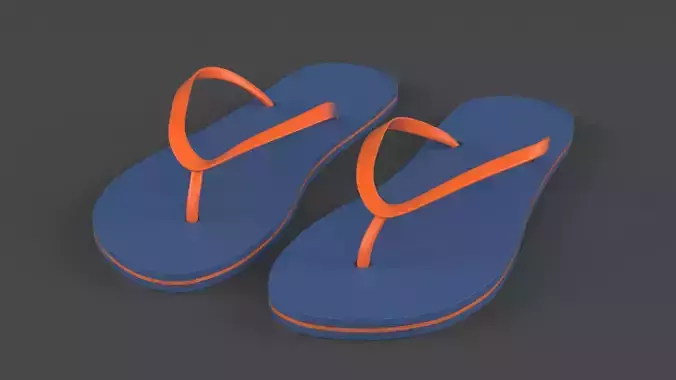 Flip Flops