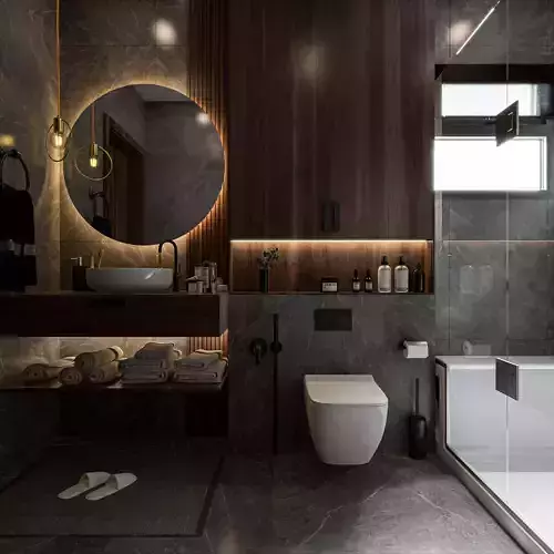 Dark Bathroom  interior scene 