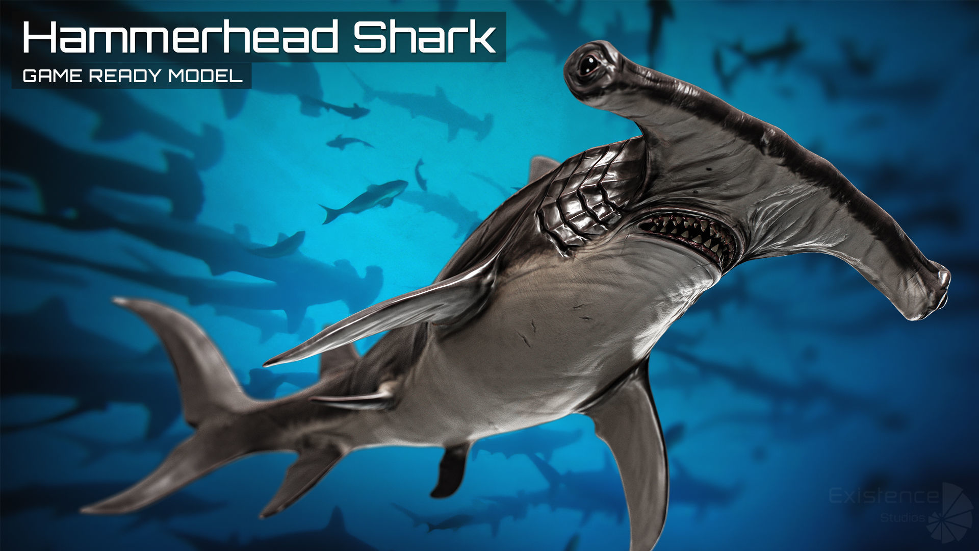 Hammerhead Shark - Ocean Predator - Underwater Creature - 29 Low-poly 3D model_3