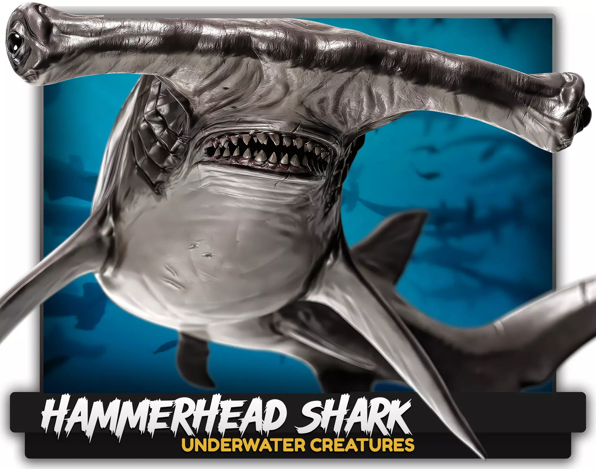 Hammerhead Shark - Ocean Predator - Underwater Creature - 29 Low-poly 3D model_0