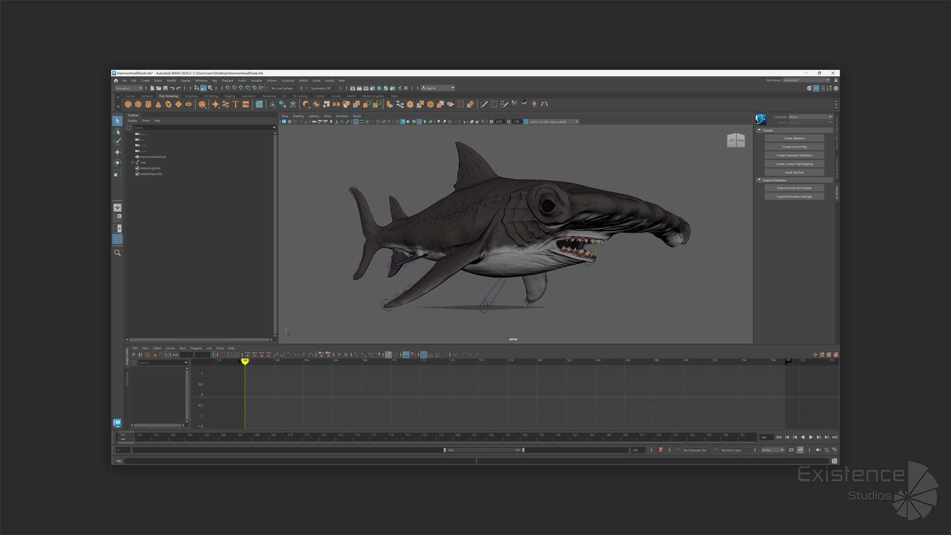 Hammerhead Shark - Ocean Predator - Underwater Creature - 29 Low-poly 3D model_11