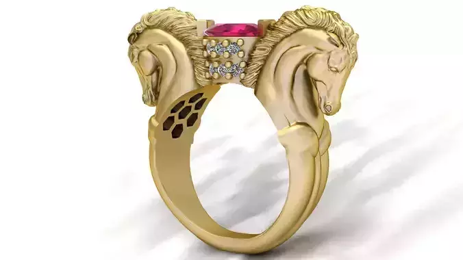 Horse Ring
