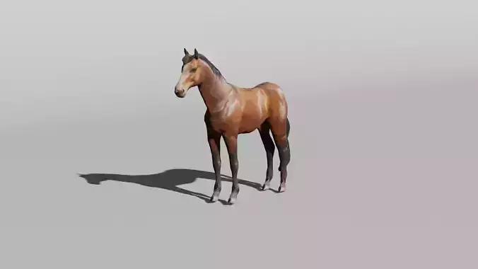 Rigged and Animated Brown Horse