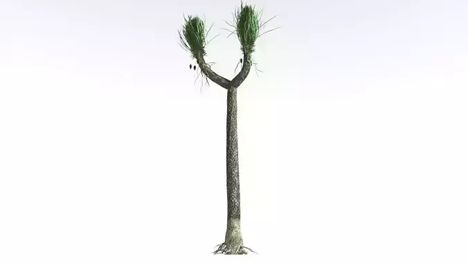 EVERYPlant Sigillaria 2 --12 Models-- 3D model