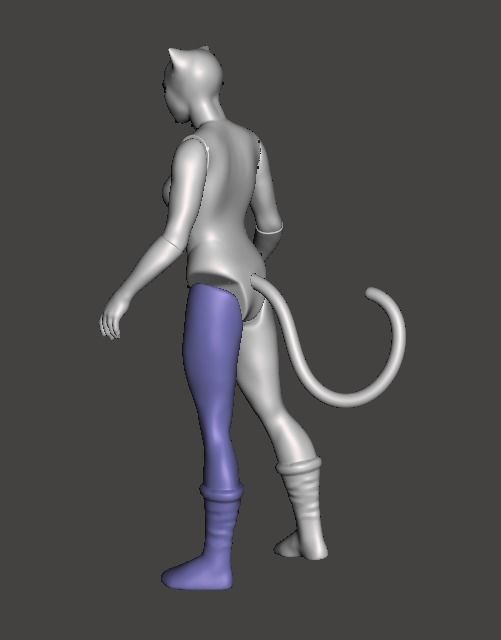 STL File 3D Super Powers Cat Woman 3D print model 3D print model_2