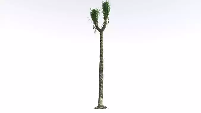 EVERYPlant Sigillaria 3 --12 Models-- 3D model