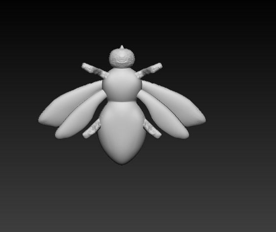 Bee Model 3D print model_1