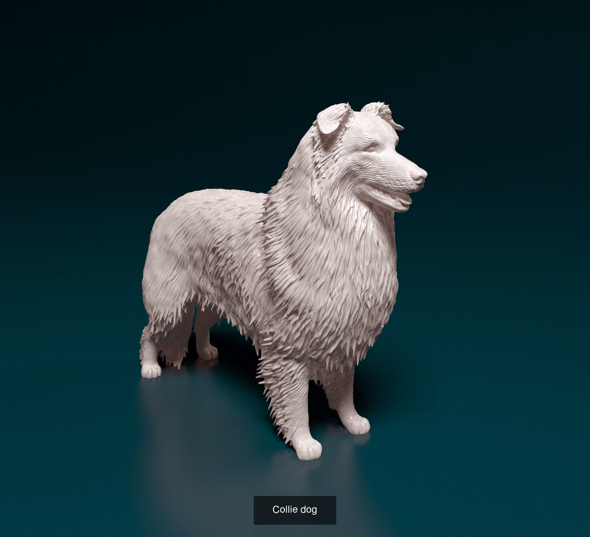 ronanskt-rm Collection _15