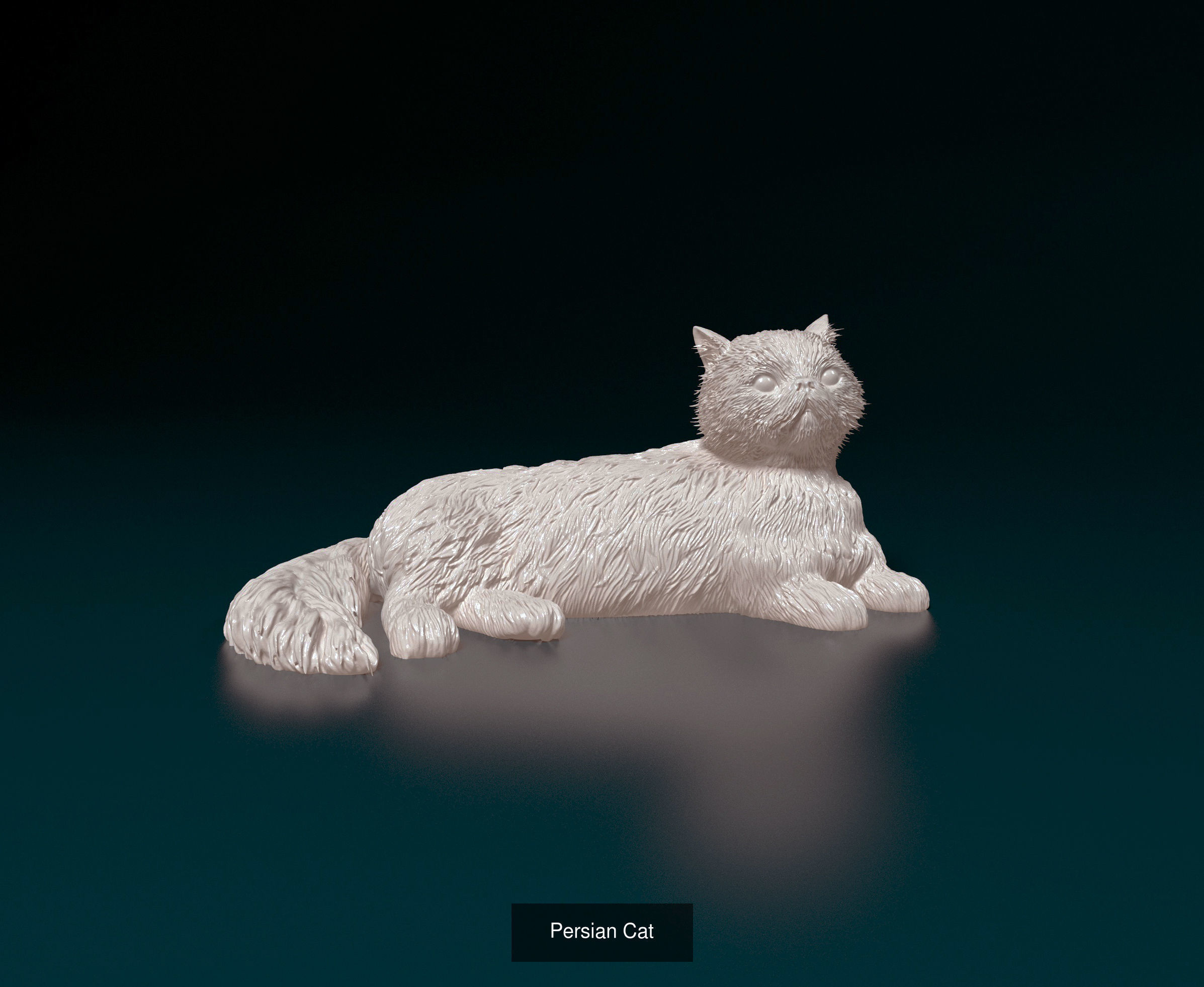 ronanskt-rm Collection _39