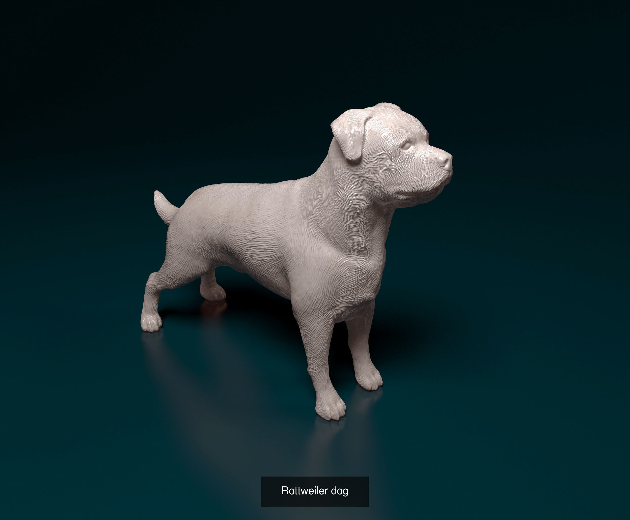 ronanskt-rm Collection _29