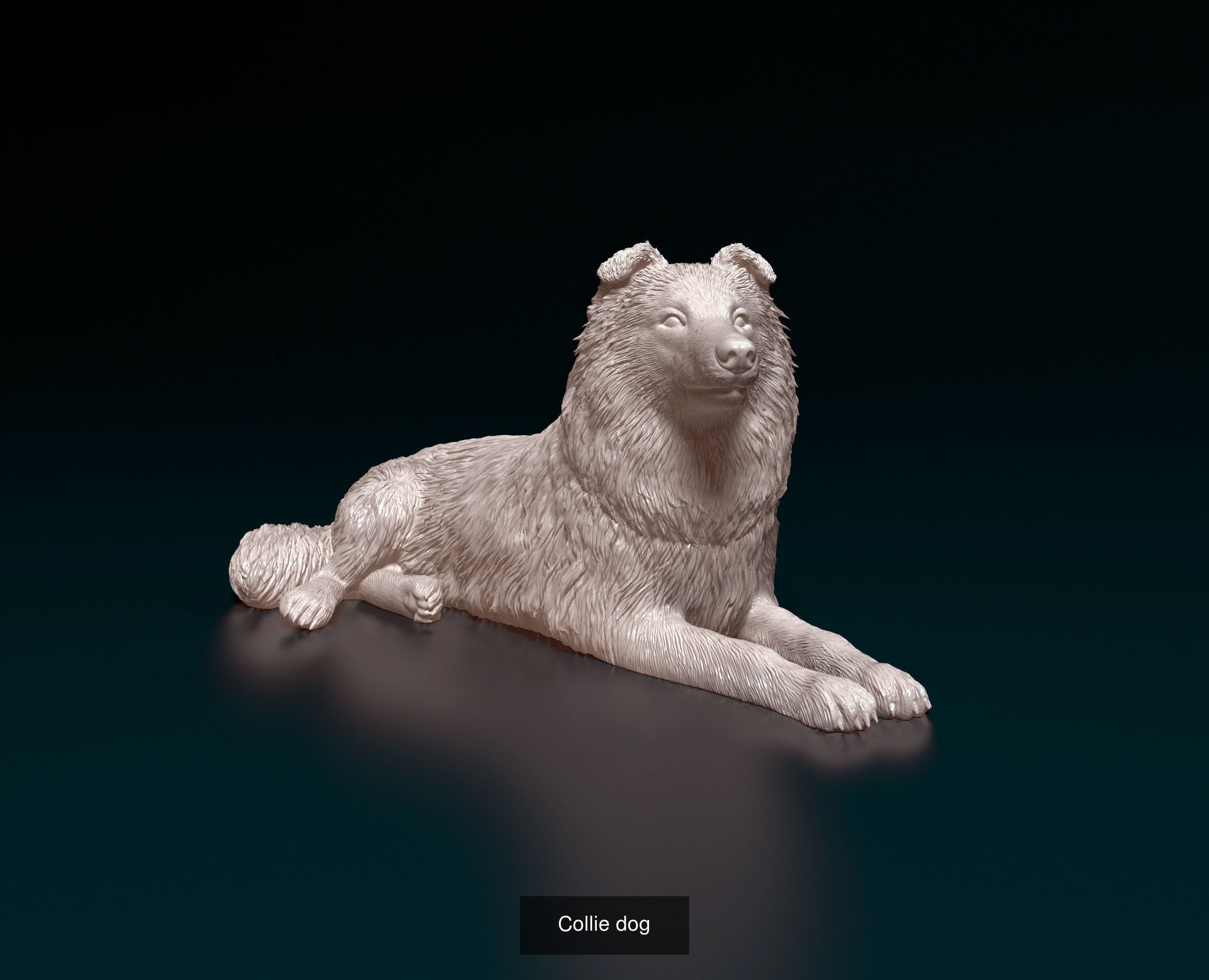 ronanskt-rm Collection _16