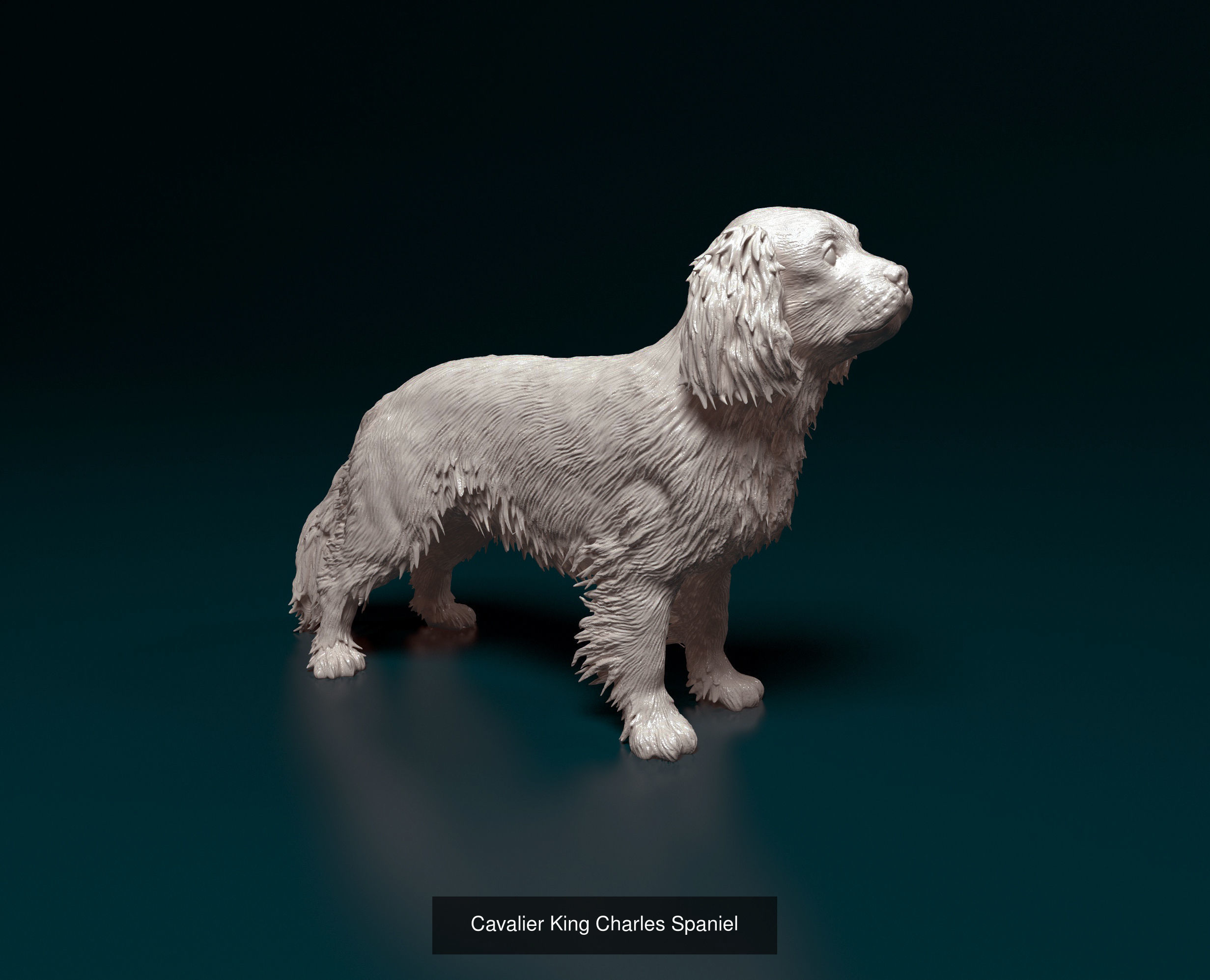 ronanskt-rm Collection _13