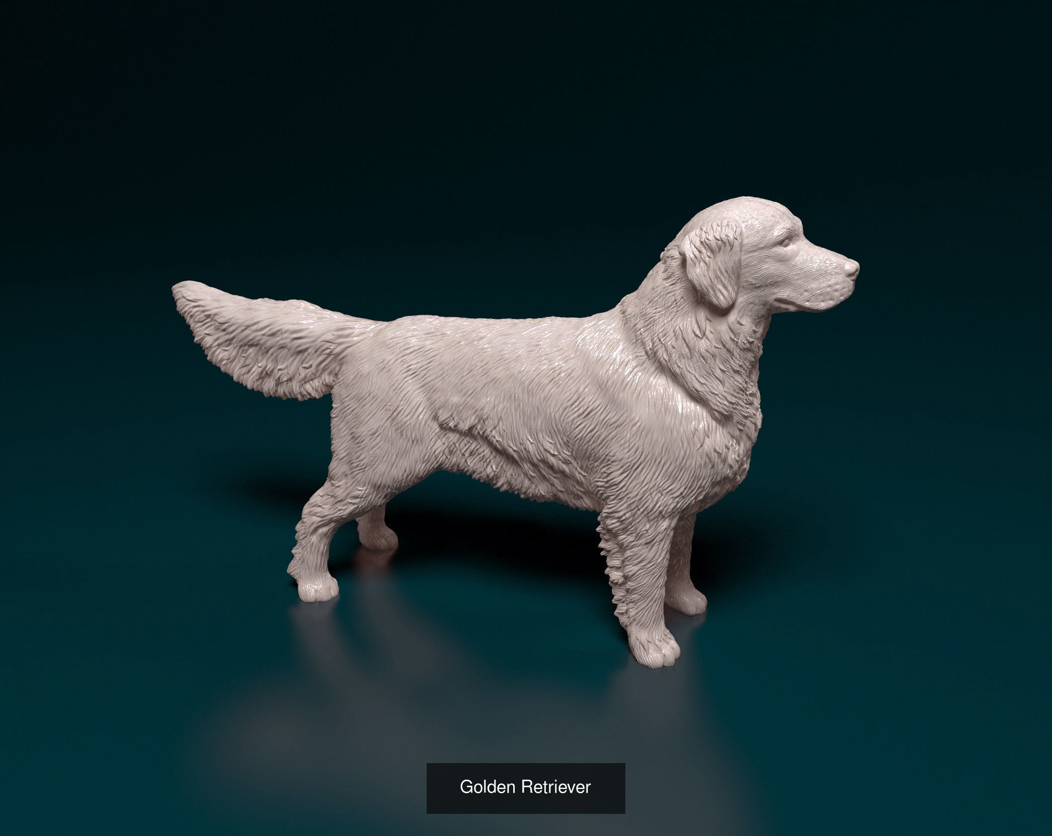 ronanskt-rm Collection _19