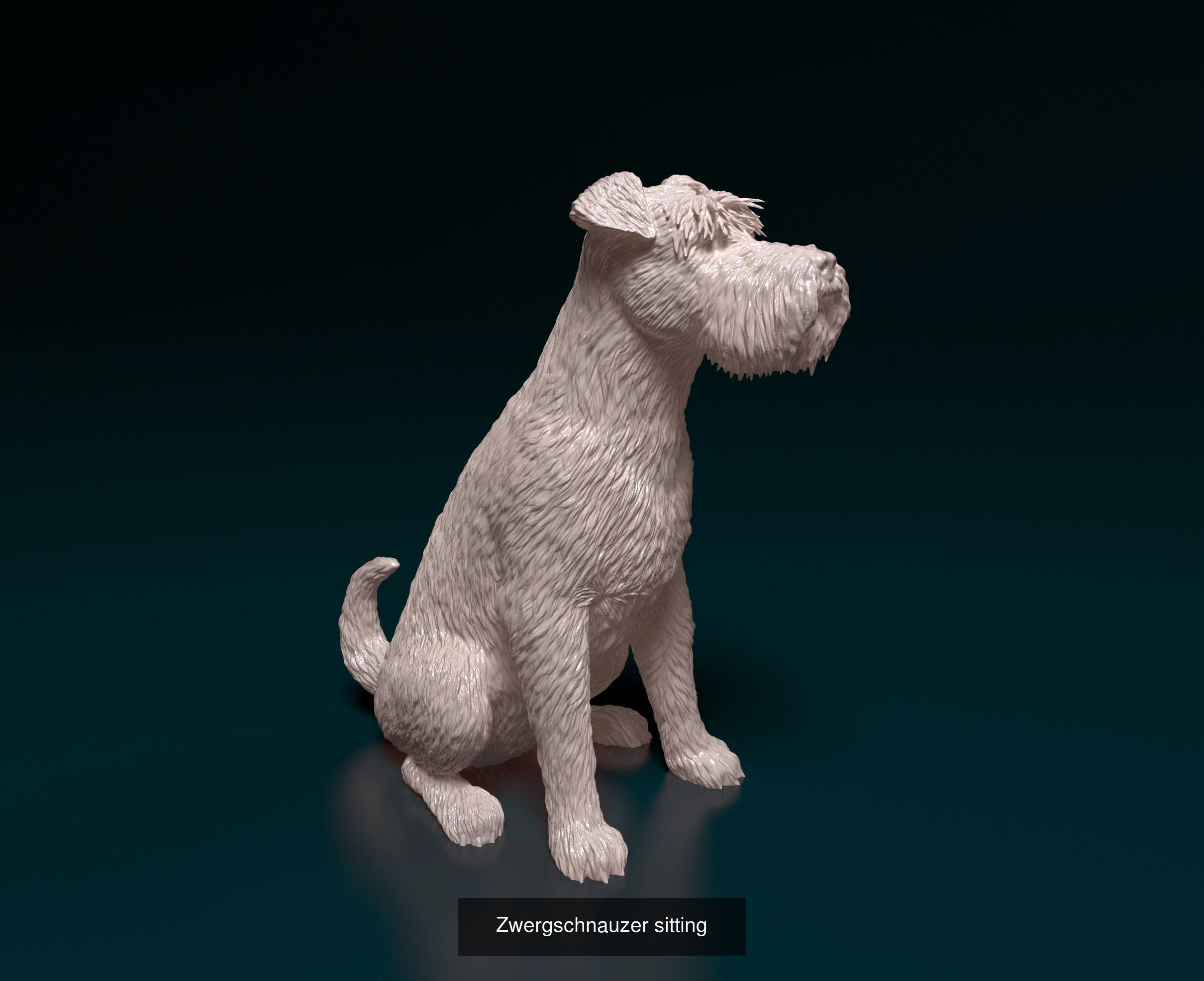 ronanskt-rm Collection _25