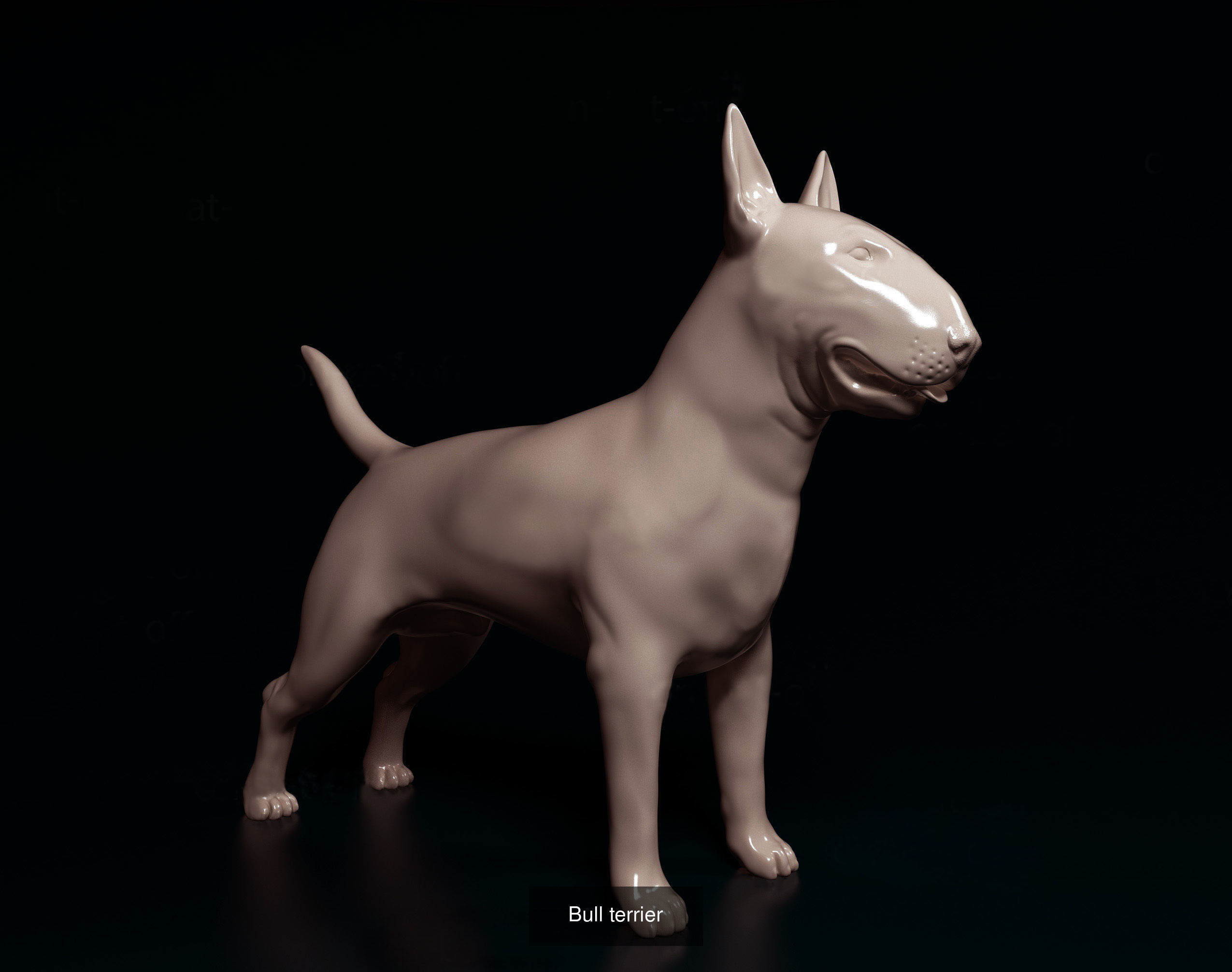 ronanskt-rm Collection _9