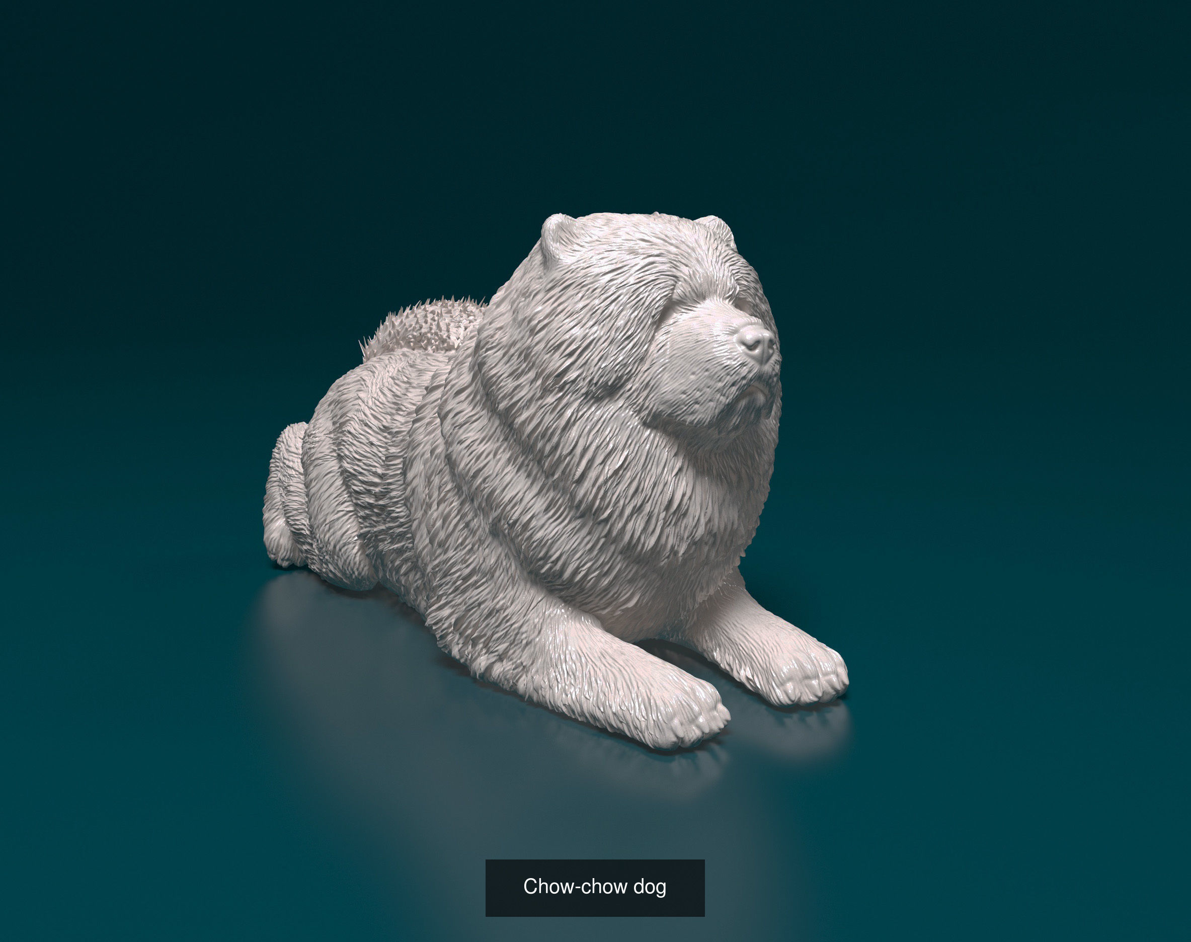 ronanskt-rm Collection _14