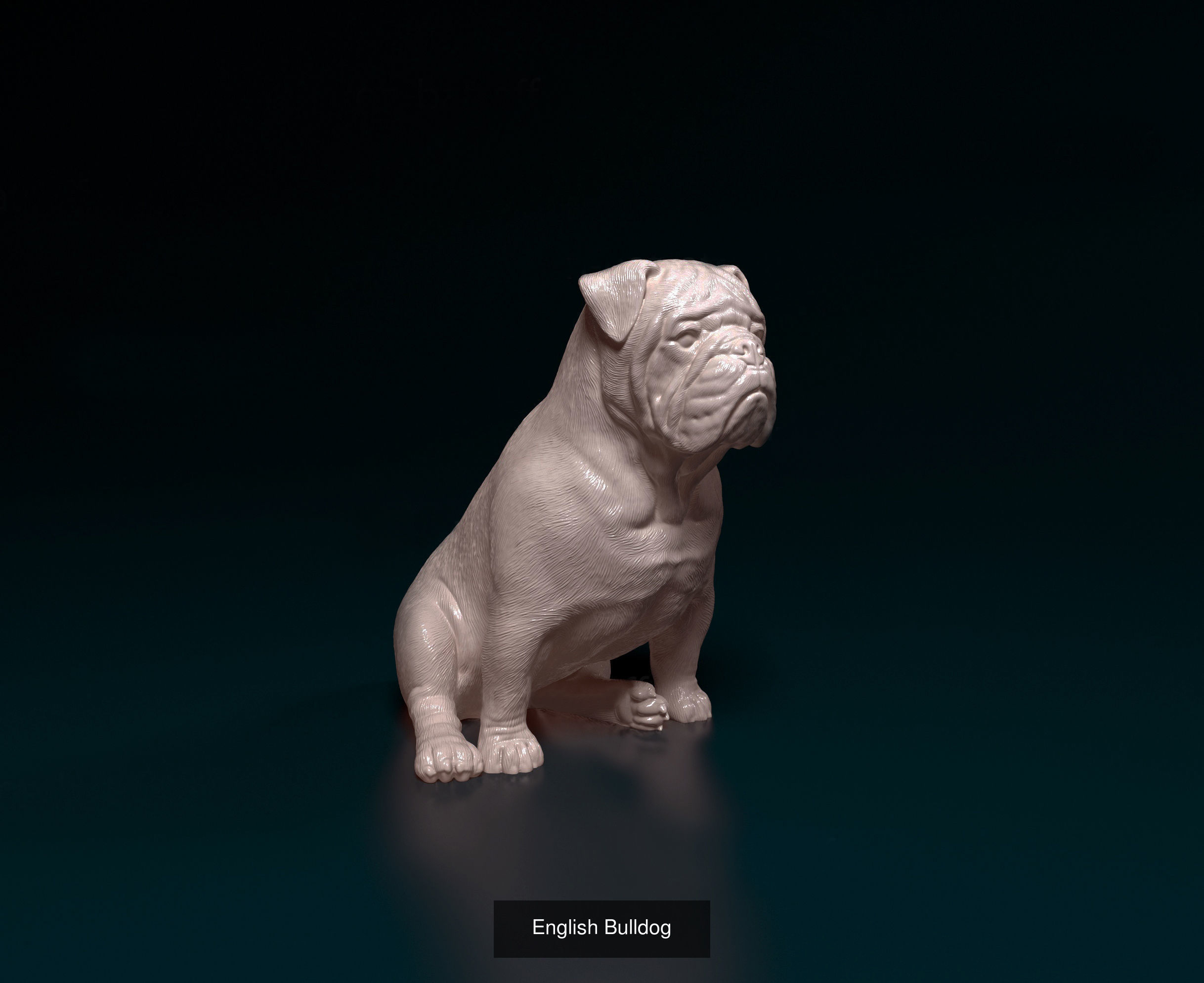 ronanskt-rm Collection _34