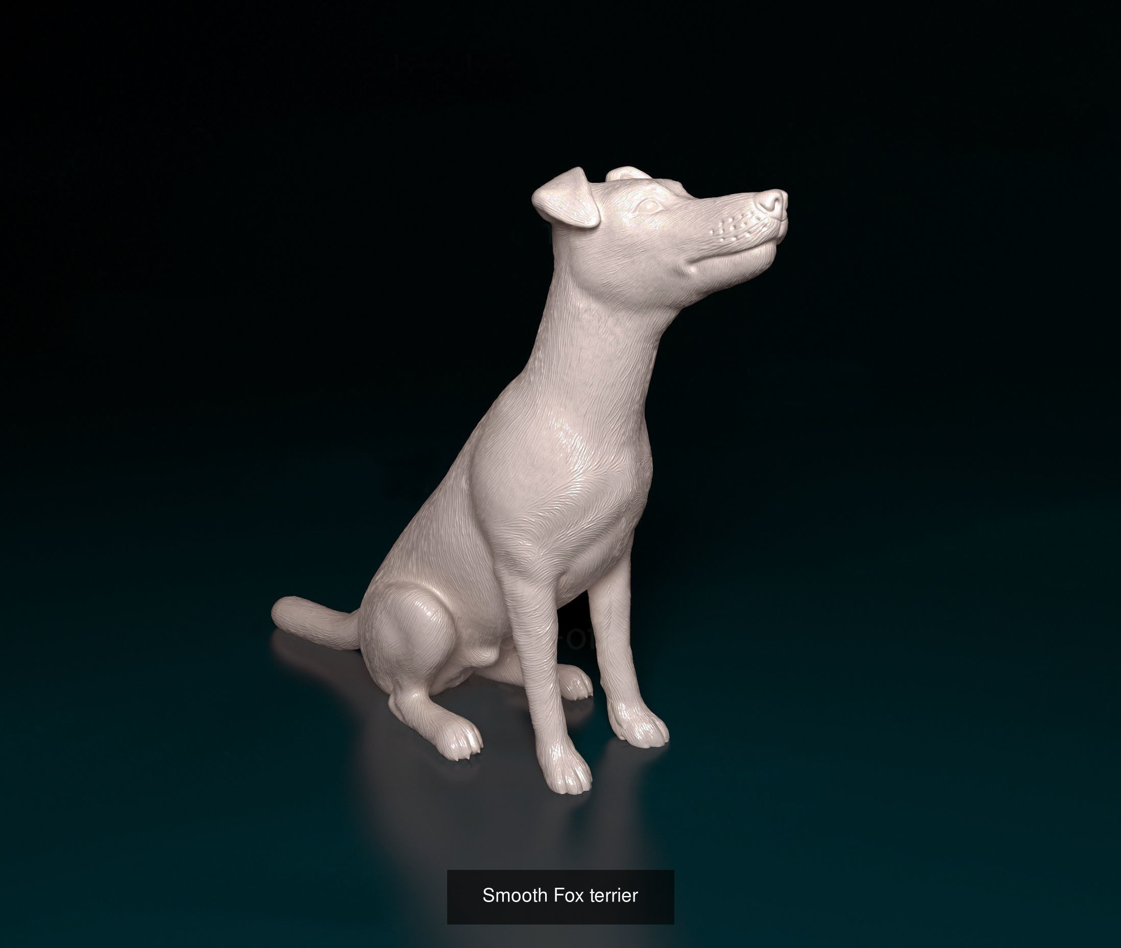 ronanskt-rm Collection _32