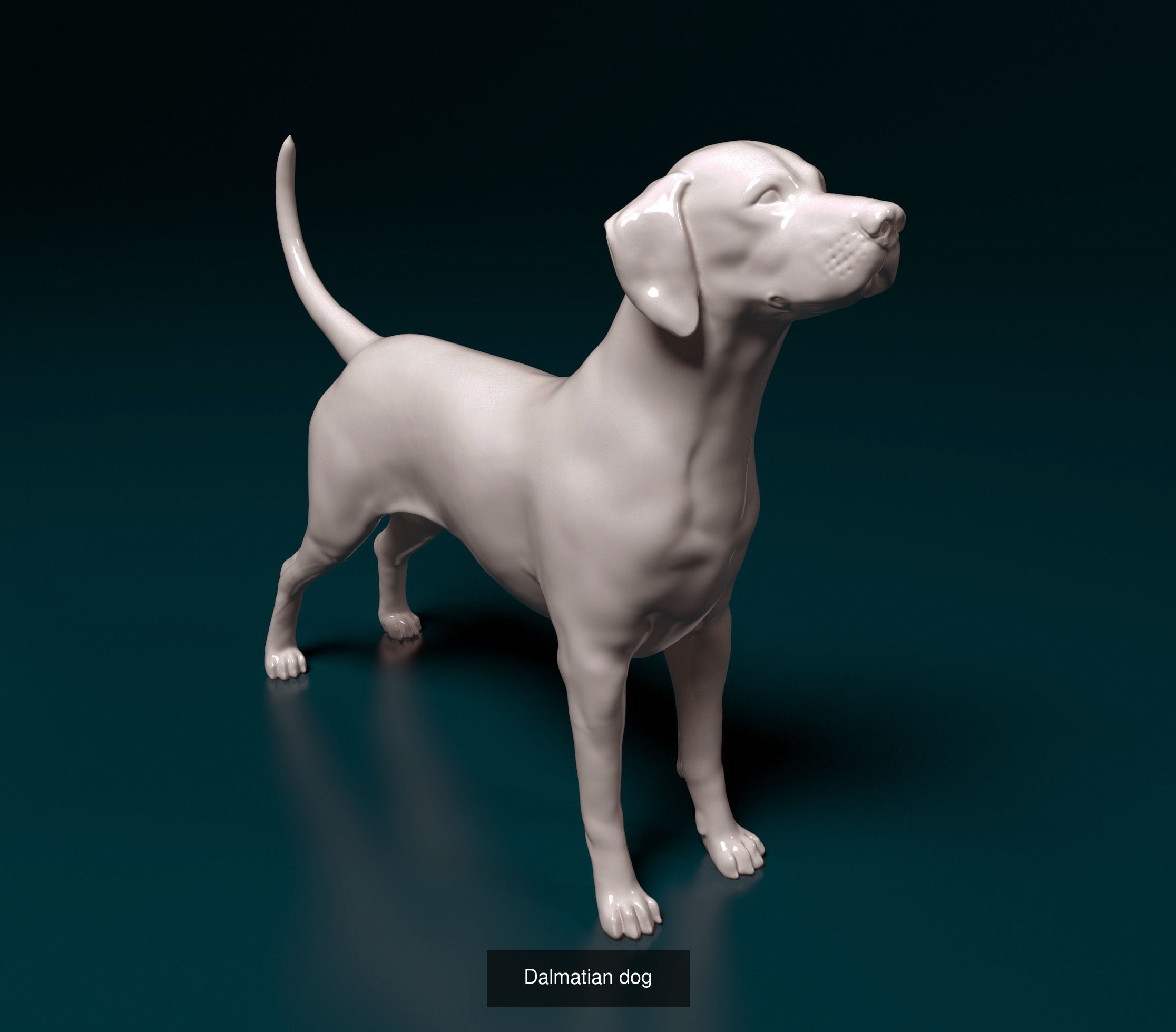 ronanskt-rm Collection _17