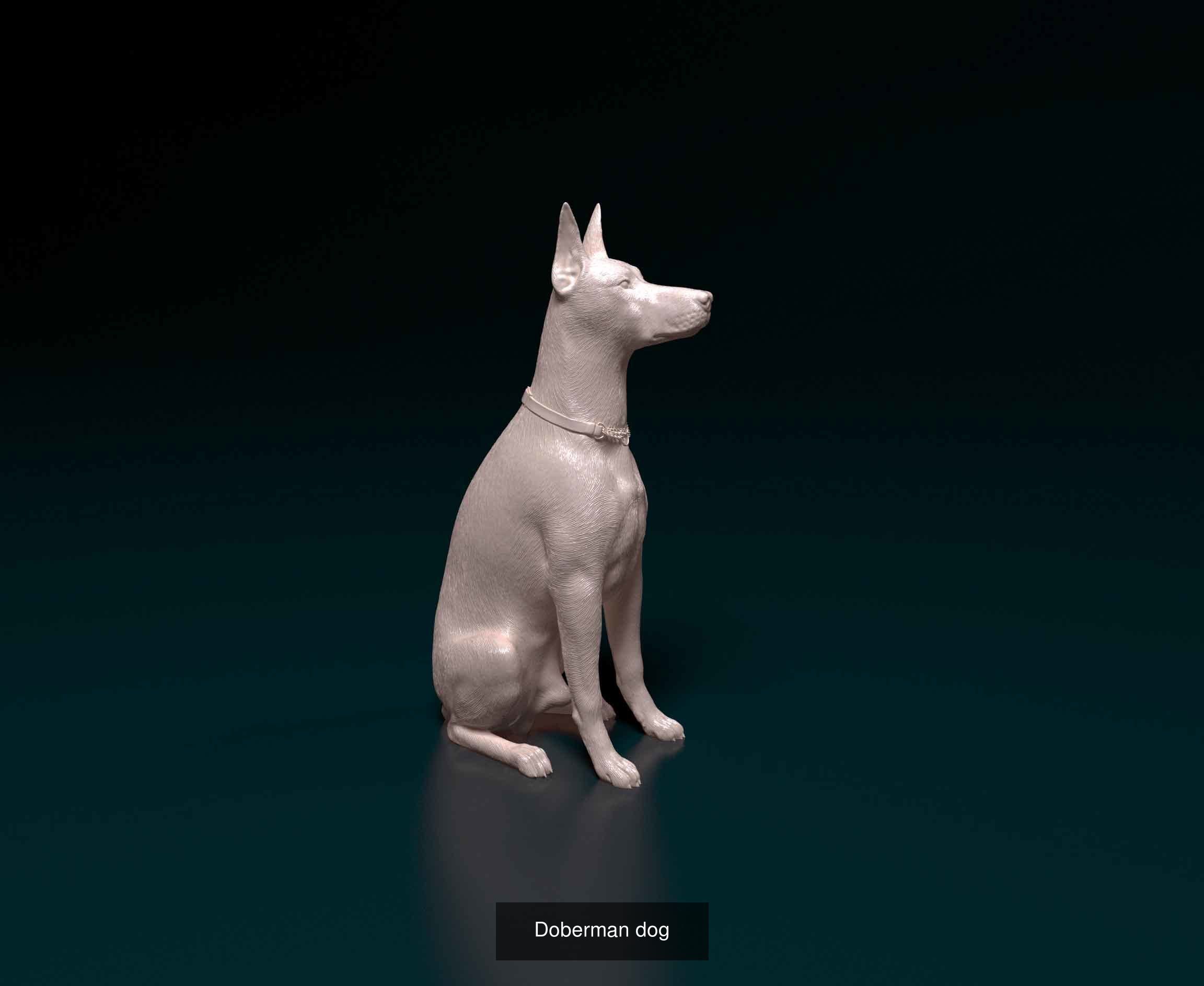 ronanskt-rm Collection _33