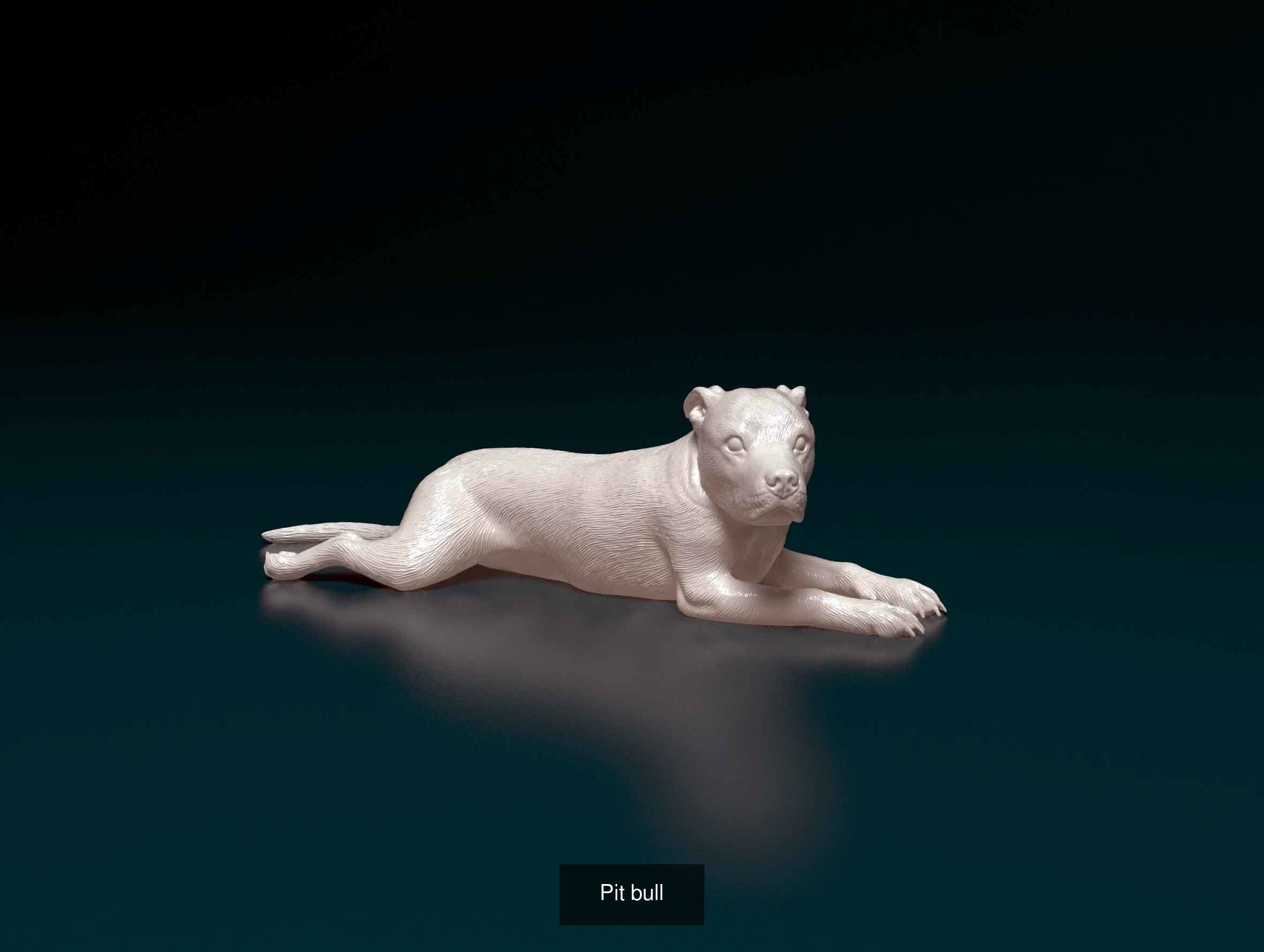 ronanskt-rm Collection _36