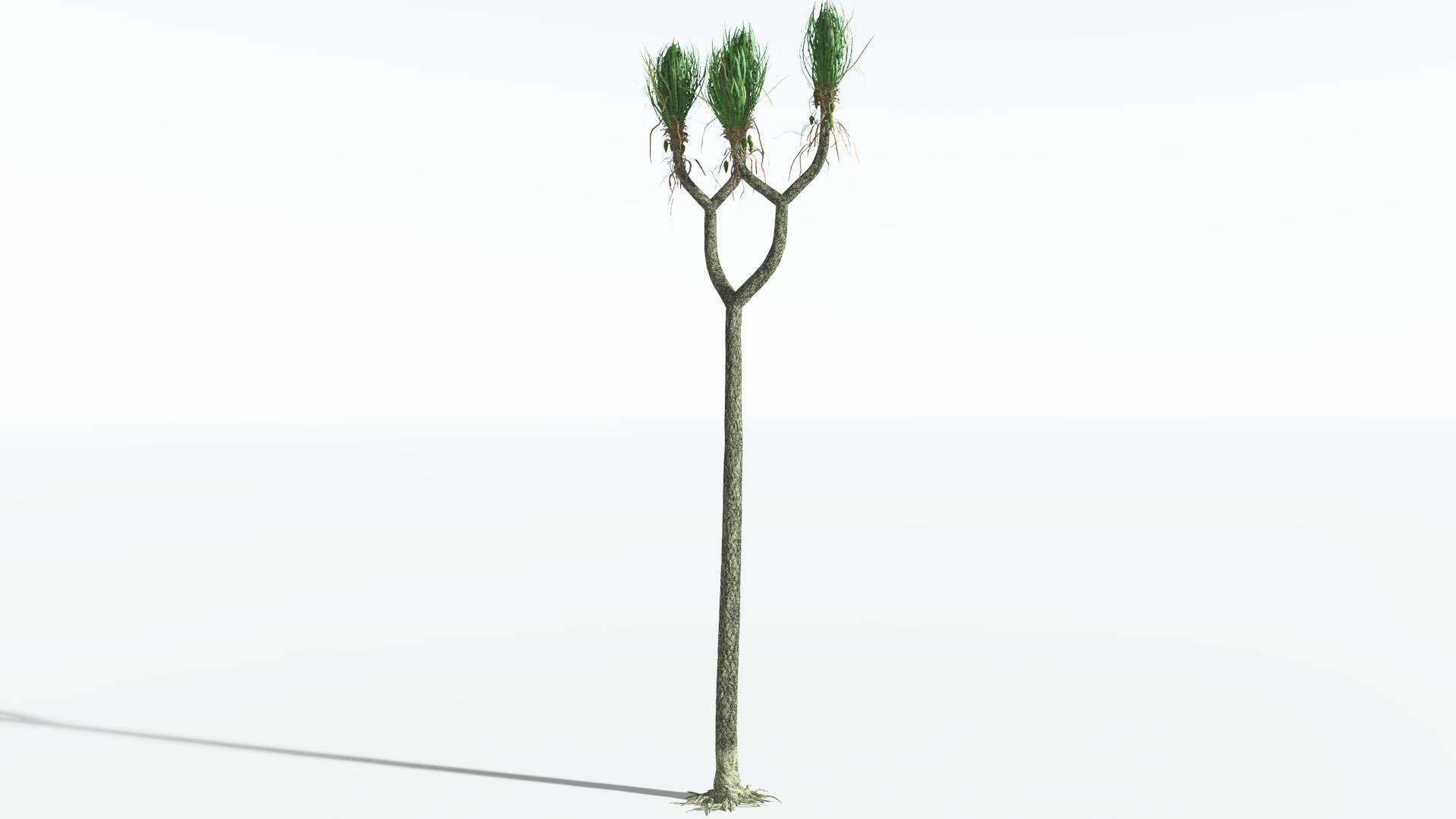 EVERYPlant Sigillaria 4 --12 Models-- 3D model_14