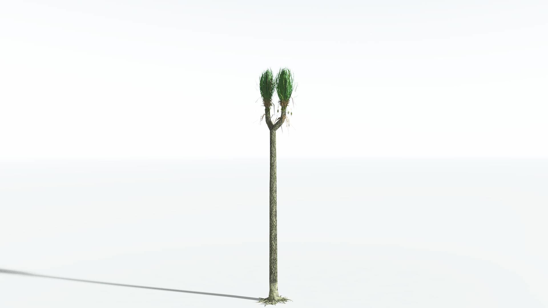 EVERYPlant Sigillaria 4 --12 Models-- 3D model_22