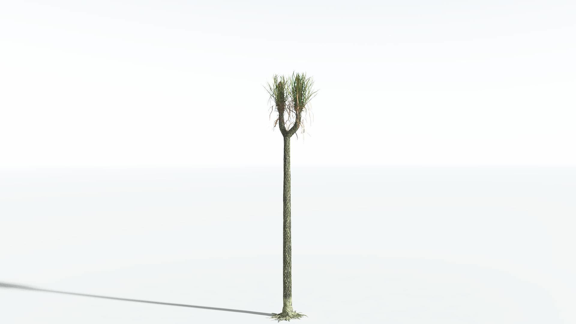EVERYPlant Sigillaria 4 --12 Models-- 3D model_8