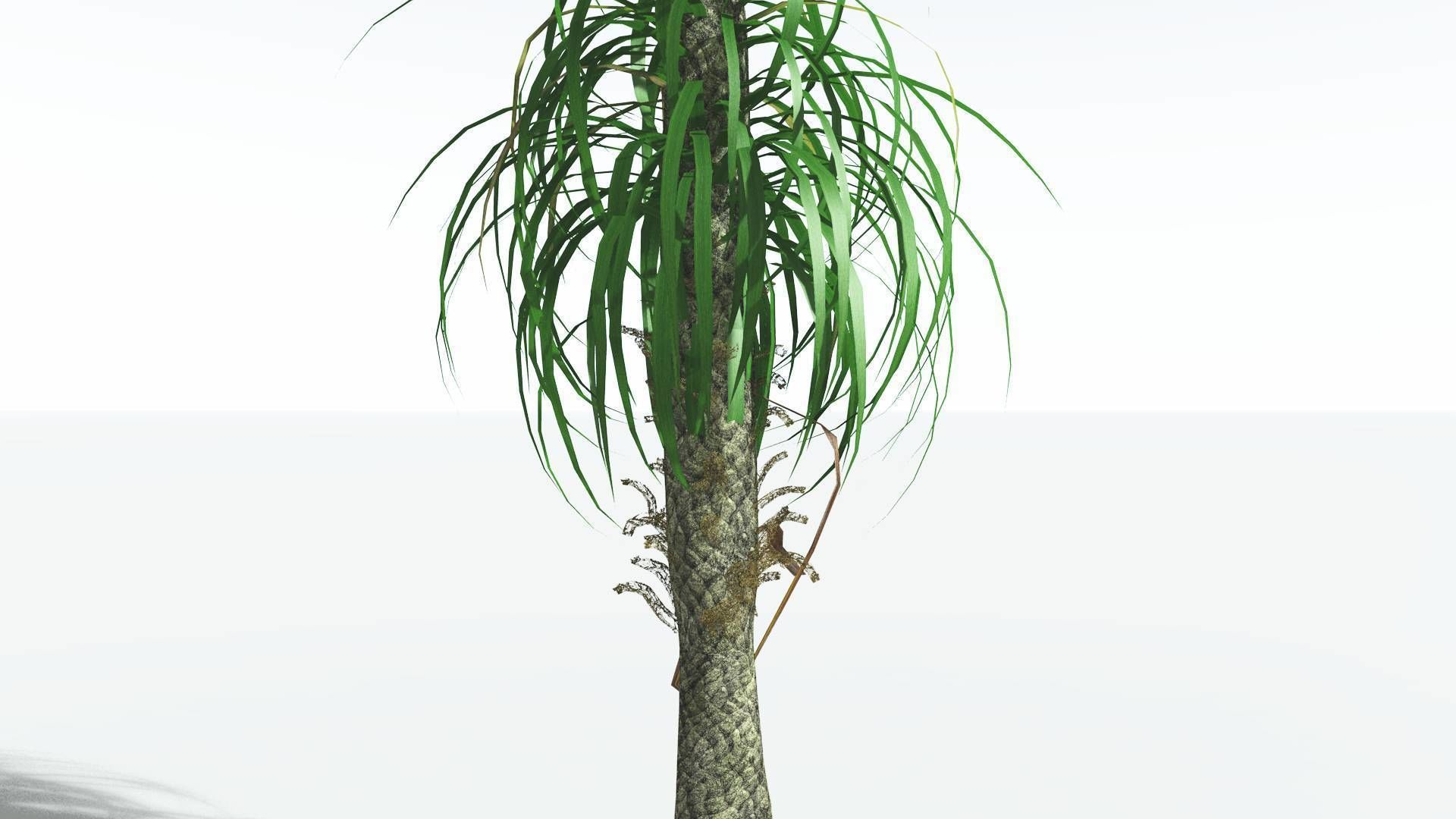 EVERYPlant Sigillaria 4 --12 Models-- 3D model_19