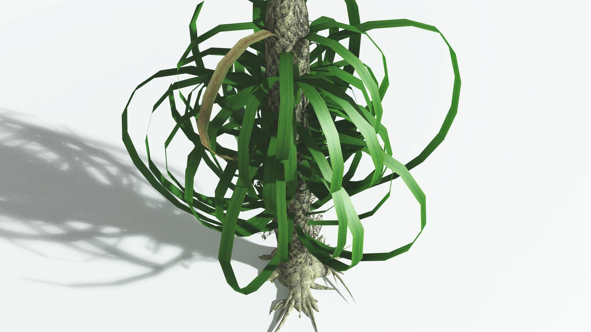 EVERYPlant Sigillaria 4 --12 Models-- 3D model_21
