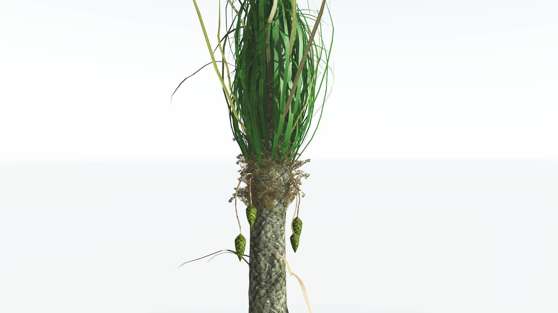 EVERYPlant Sigillaria 4 --12 Models-- 3D model_17