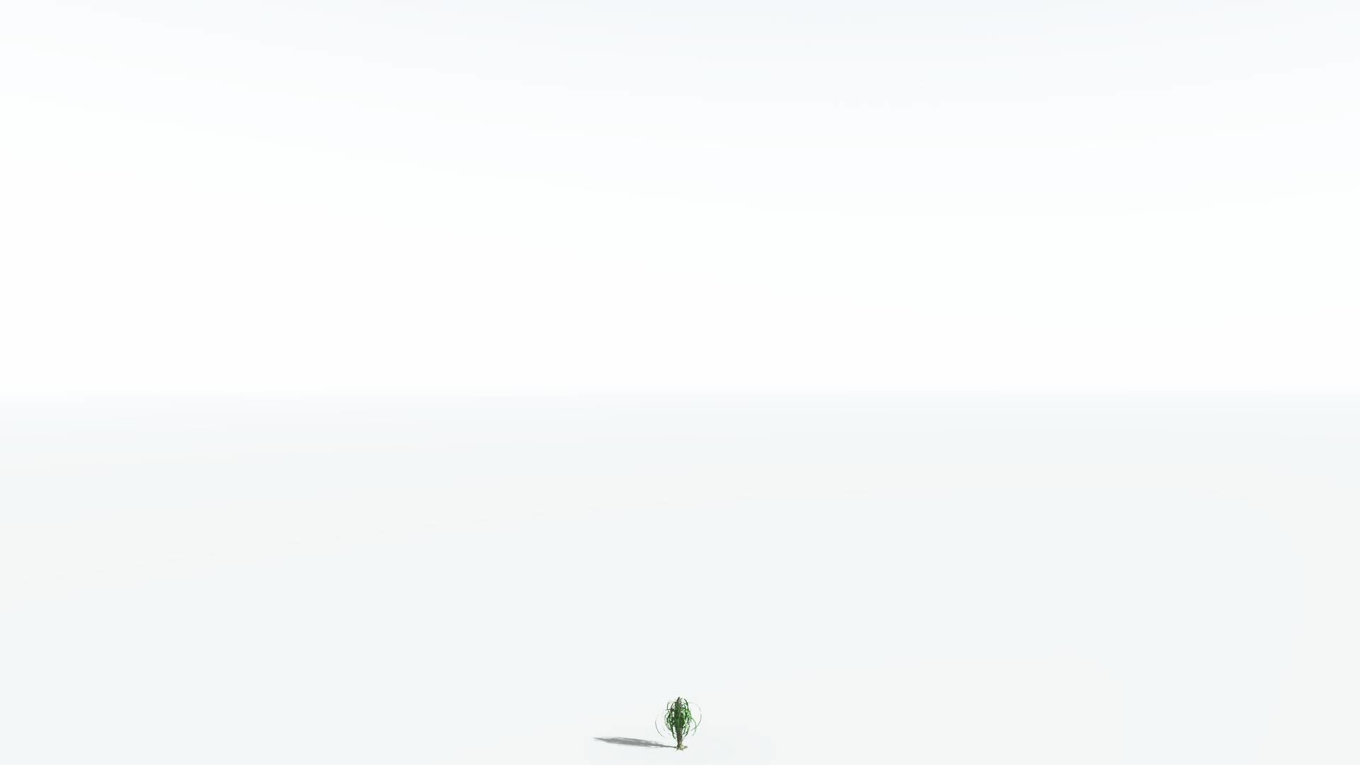EVERYPlant Sigillaria 4 --12 Models-- 3D model_20