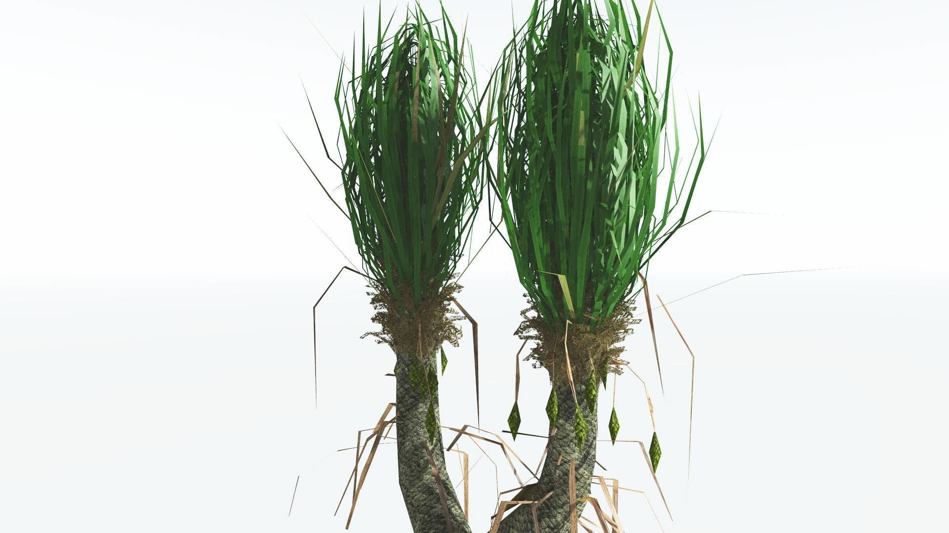 EVERYPlant Sigillaria 4 --12 Models-- 3D model_23