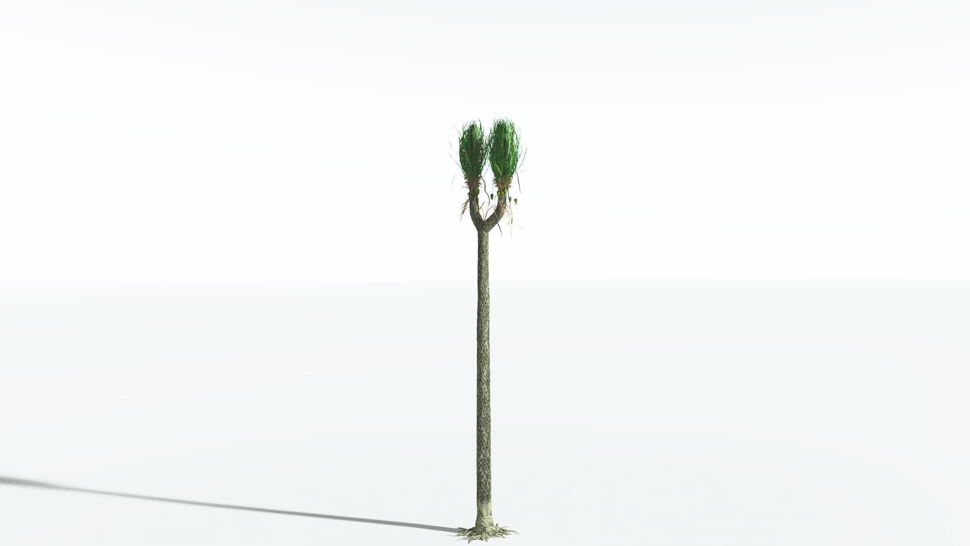 EVERYPlant Sigillaria 4 --12 Models-- 3D model_24