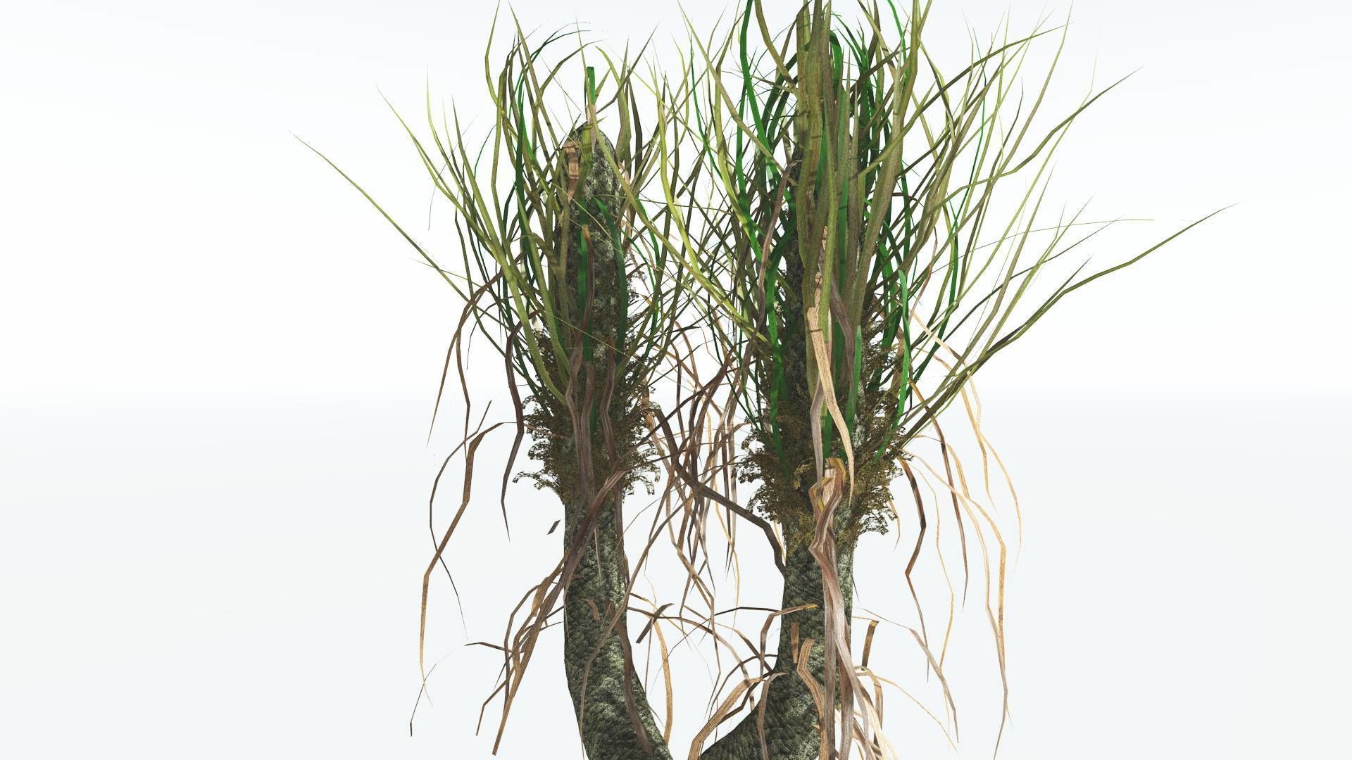 EVERYPlant Sigillaria 4 --12 Models-- 3D model_9