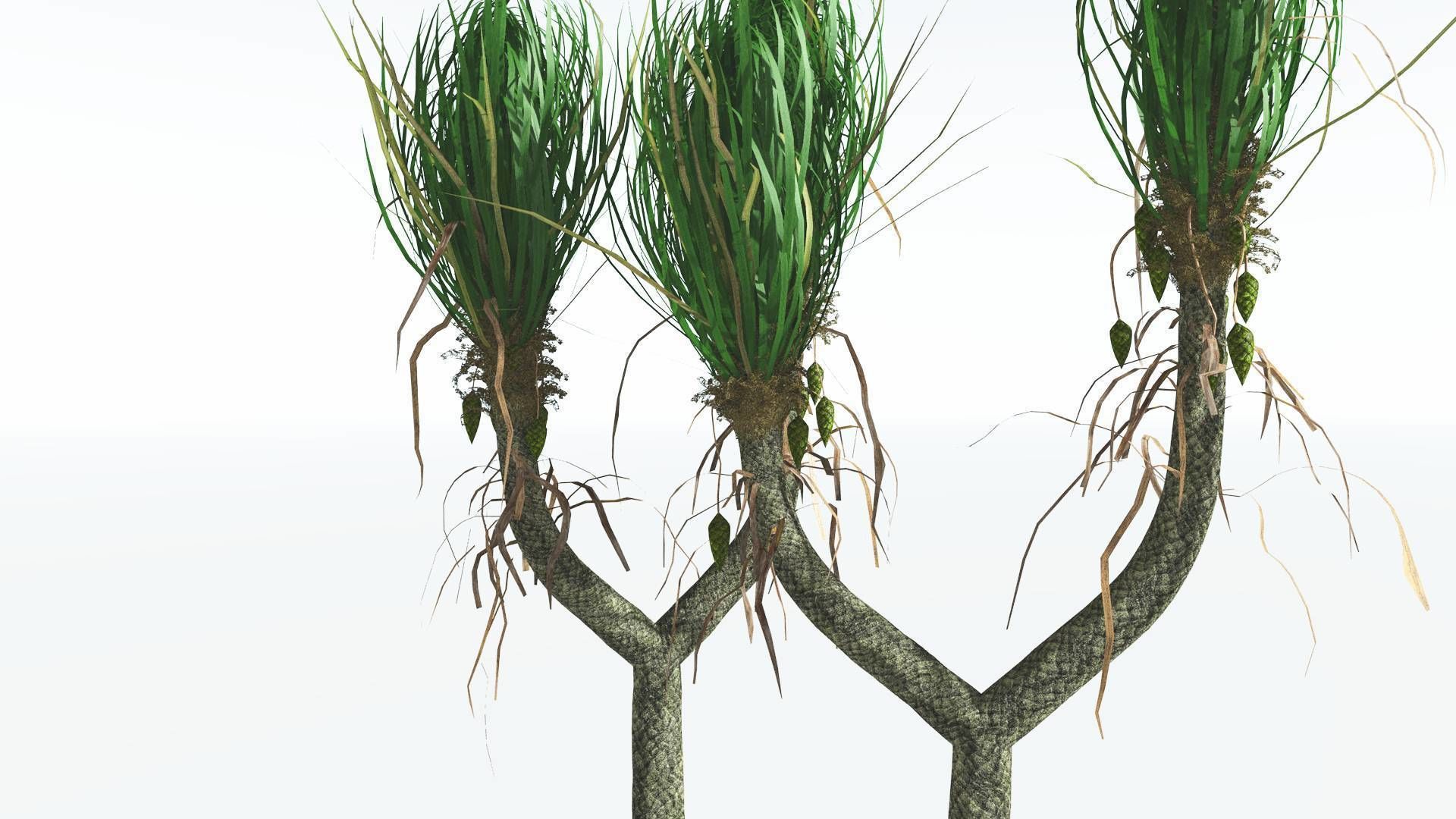 EVERYPlant Sigillaria 4 --12 Models-- 3D model_15