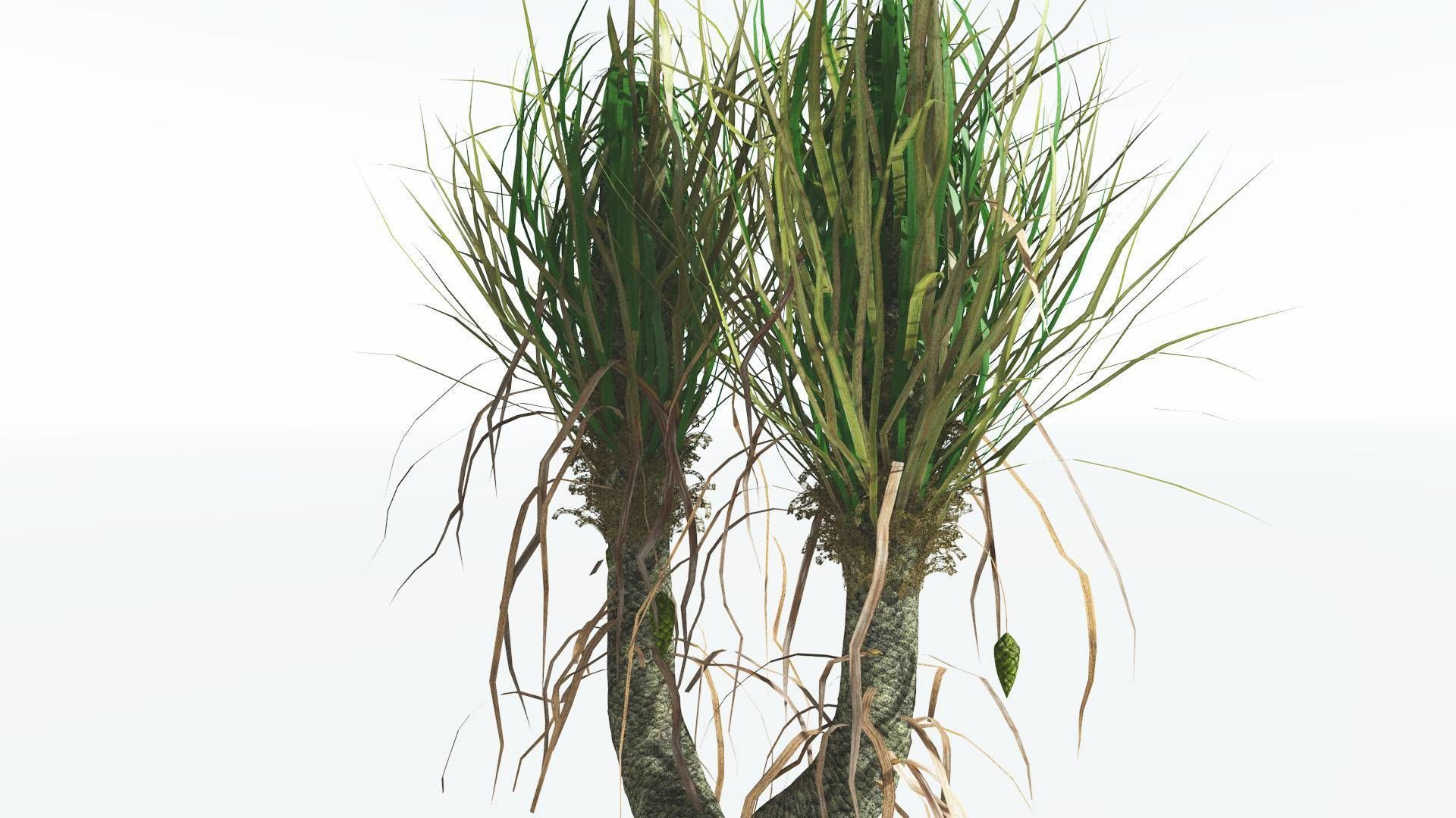 EVERYPlant Sigillaria 4 --12 Models-- 3D model_7