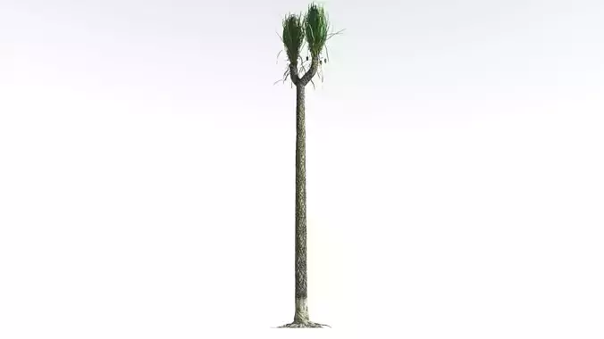 EVERYPlant Sigillaria 4 --12 Models-- 3D model