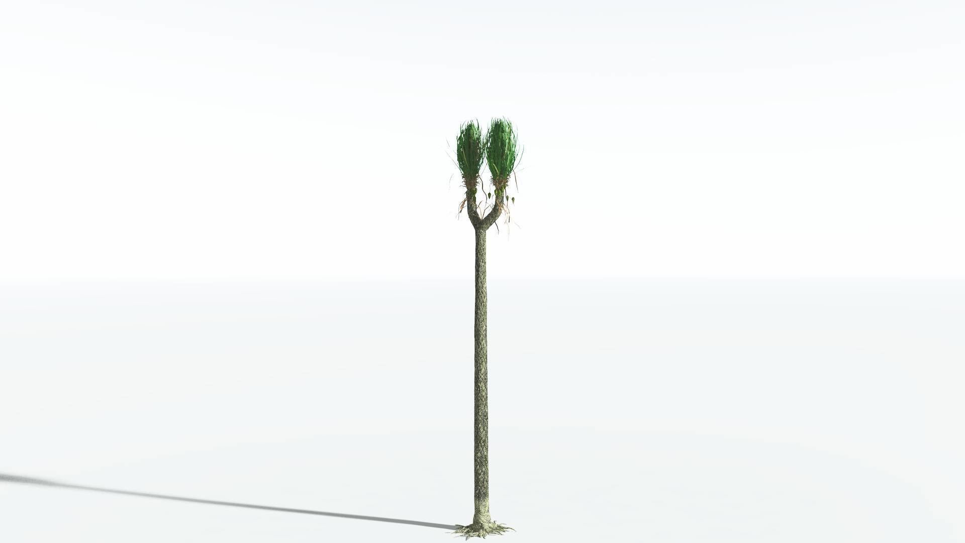 EVERYPlant Sigillaria 4 --12 Models-- 3D model_2