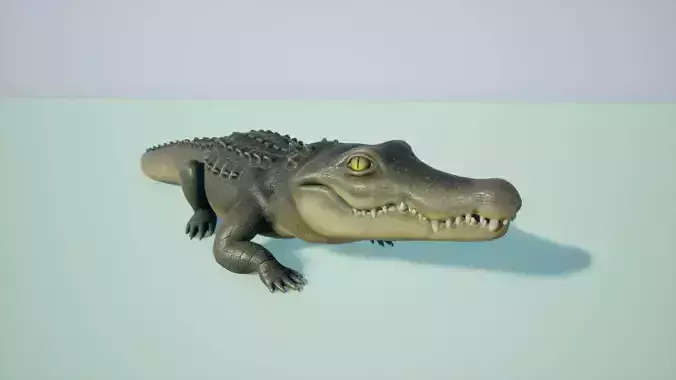 Crocodile stylized Low-poly 3D model