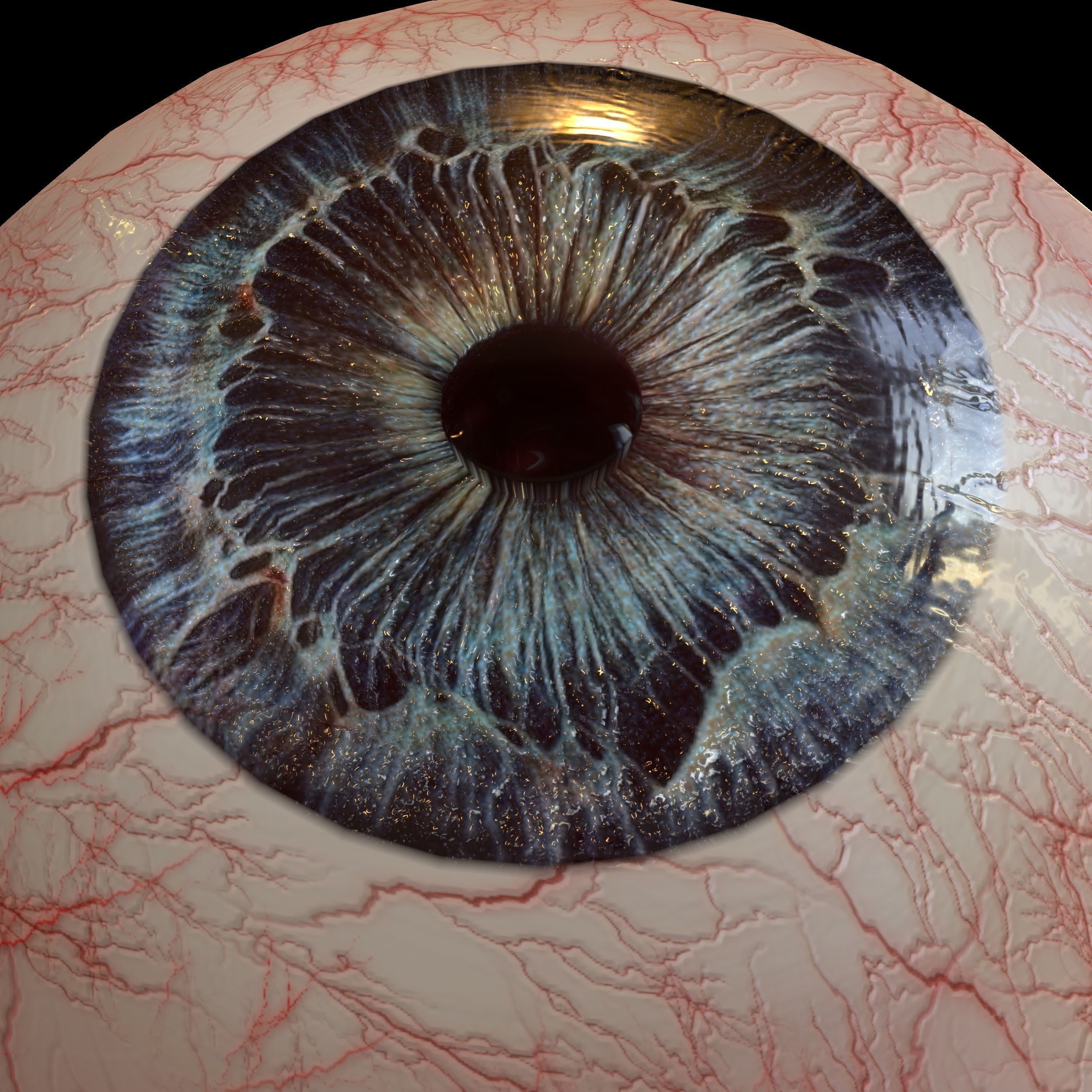 Human eye Photorealistic Low-poly 3D model Low-poly 3D model_4