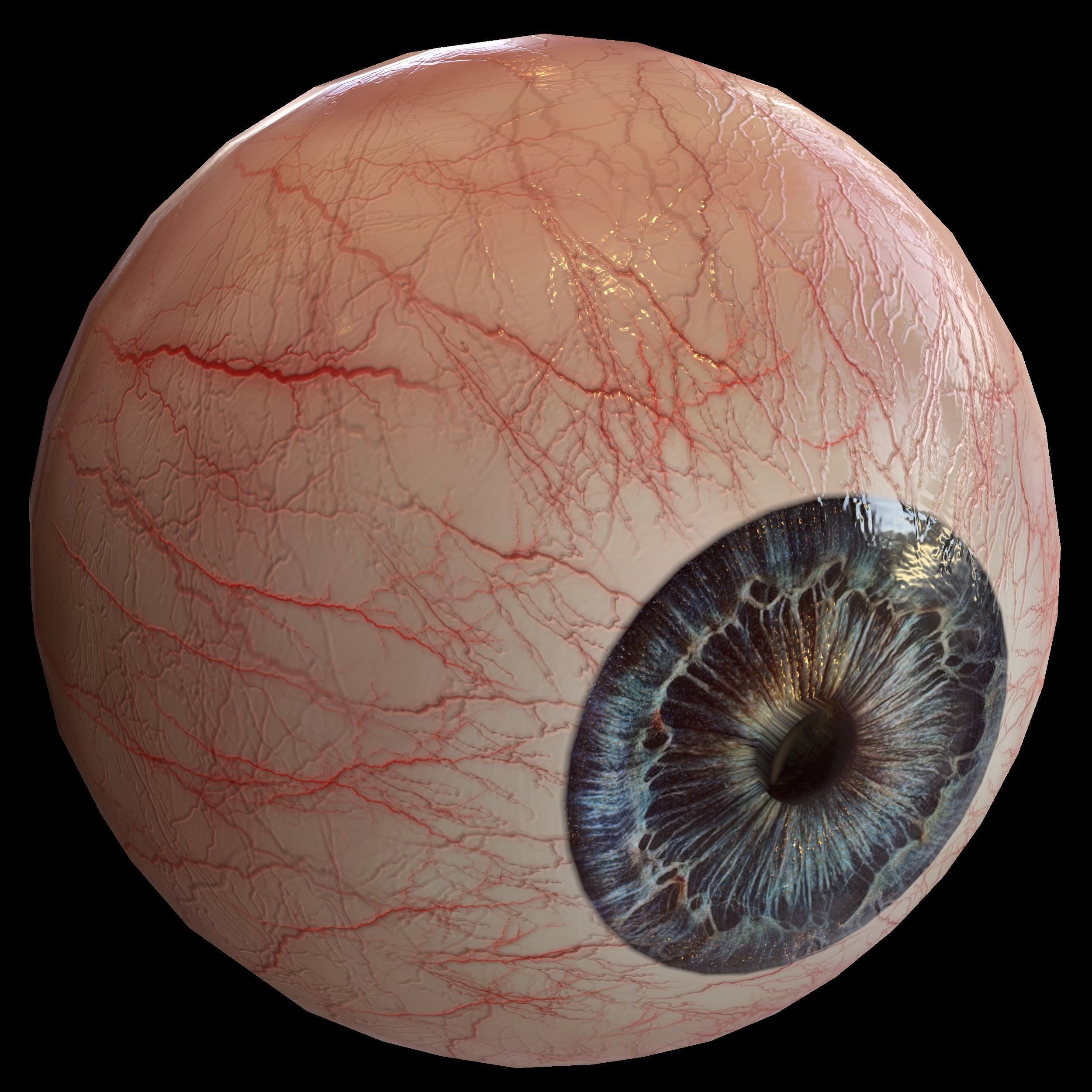 Human eye Photorealistic Low-poly 3D model Low-poly 3D model_8