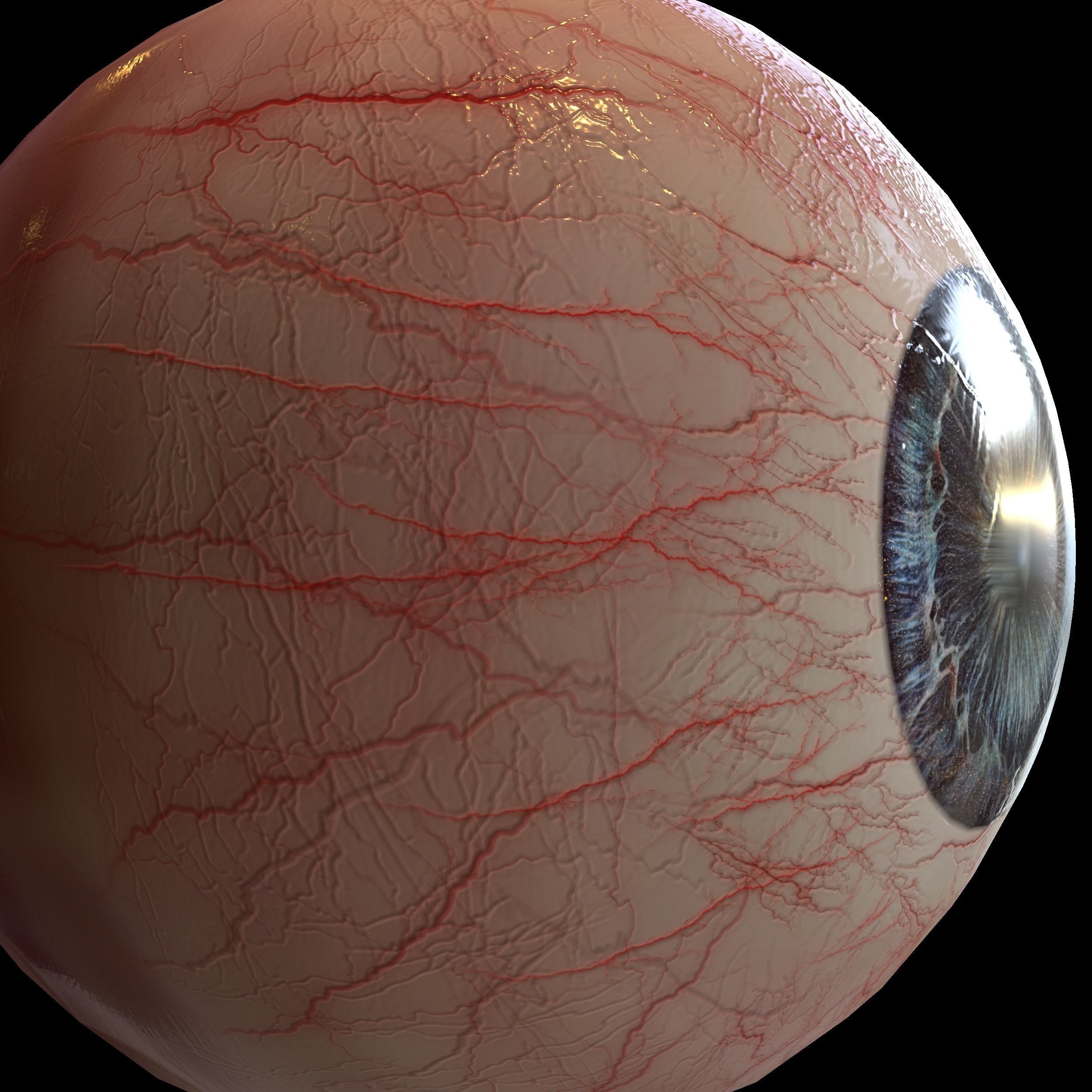 Human eye Photorealistic Low-poly 3D model Low-poly 3D model_12