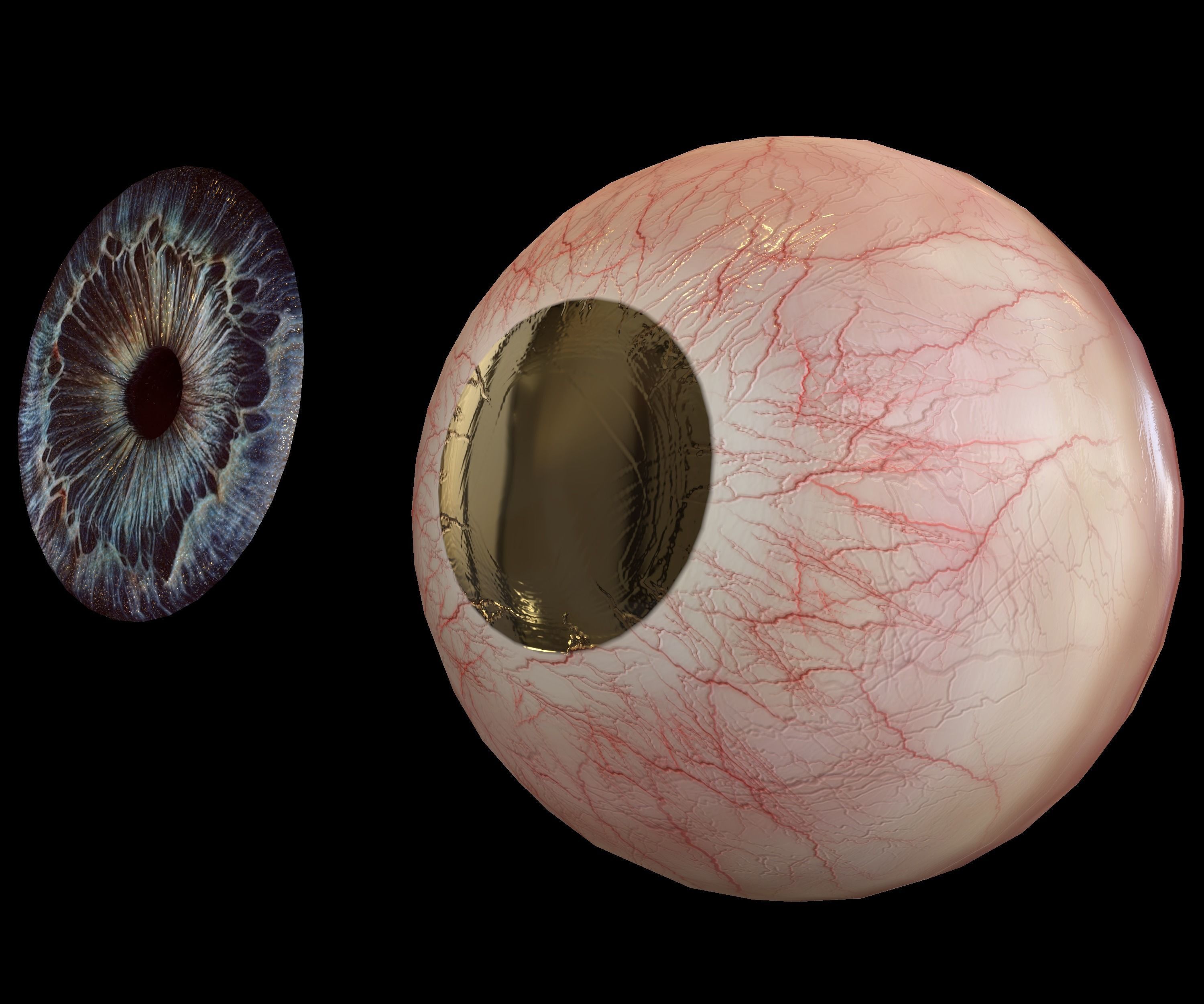Human eye Photorealistic Low-poly 3D model Low-poly 3D model_15